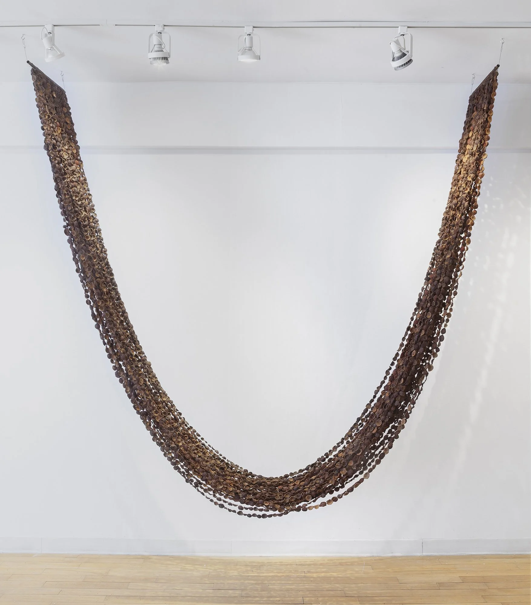 Gathering #12 (8327 Days/22.8 Years), Horse chestnut husks, waxed linen thread,
dimensions variable 9’H x 8’W x 18”D, 2019-2025
