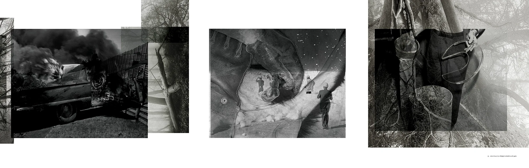 Accidental Evidence page 28, 29, 30, offset, 2025