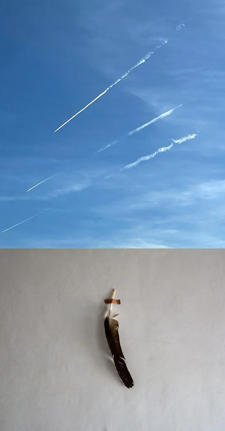 Dreams Of Flying, archival pigment print, 24x12.5 inches, 2023