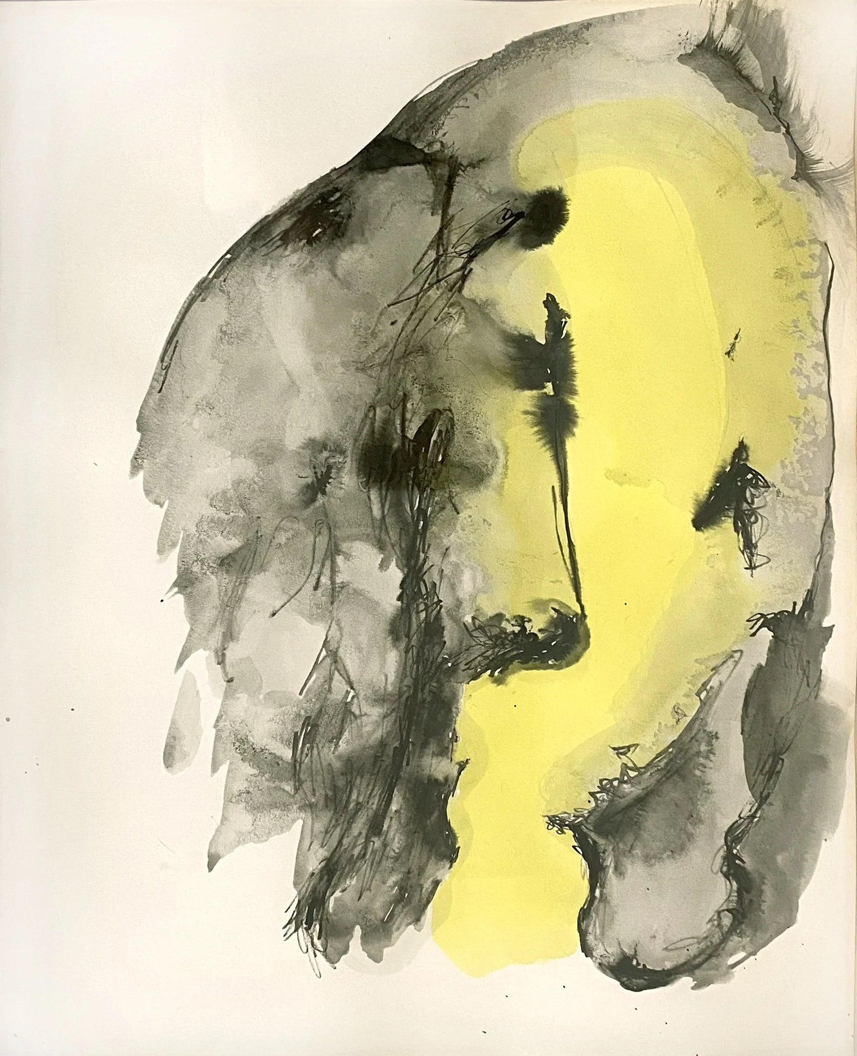Richard Dorff, Black on White, 19 x 15 inches framed, acrylic and sumi ink on acid free paper. $745.