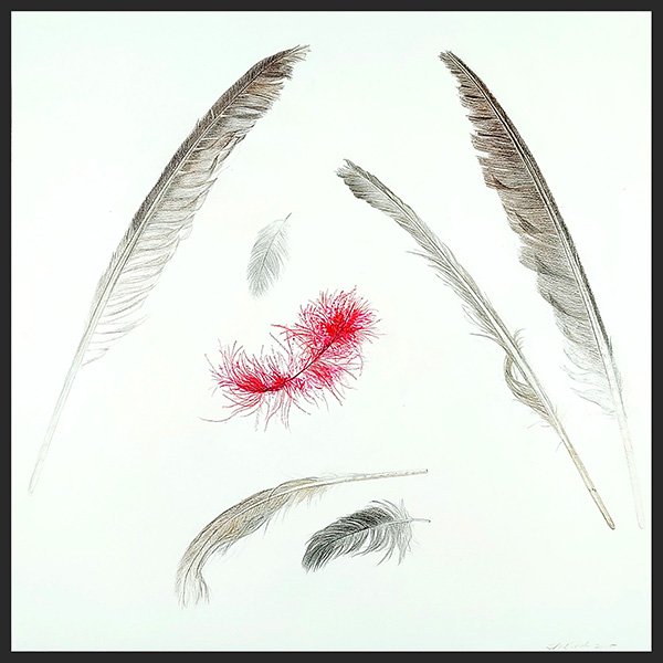 Provincetown Feathers (Rose), Oil Pigment colored pencil & gouache on Fabriano Artistica, 15 x 15”, 2025