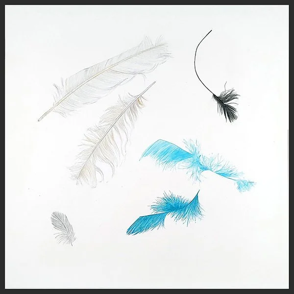 Provincetown Feathers (Turquoise), Oil Pigment colored pencil & gouache on Fabriano Artistica, 15 x 15”, 2025