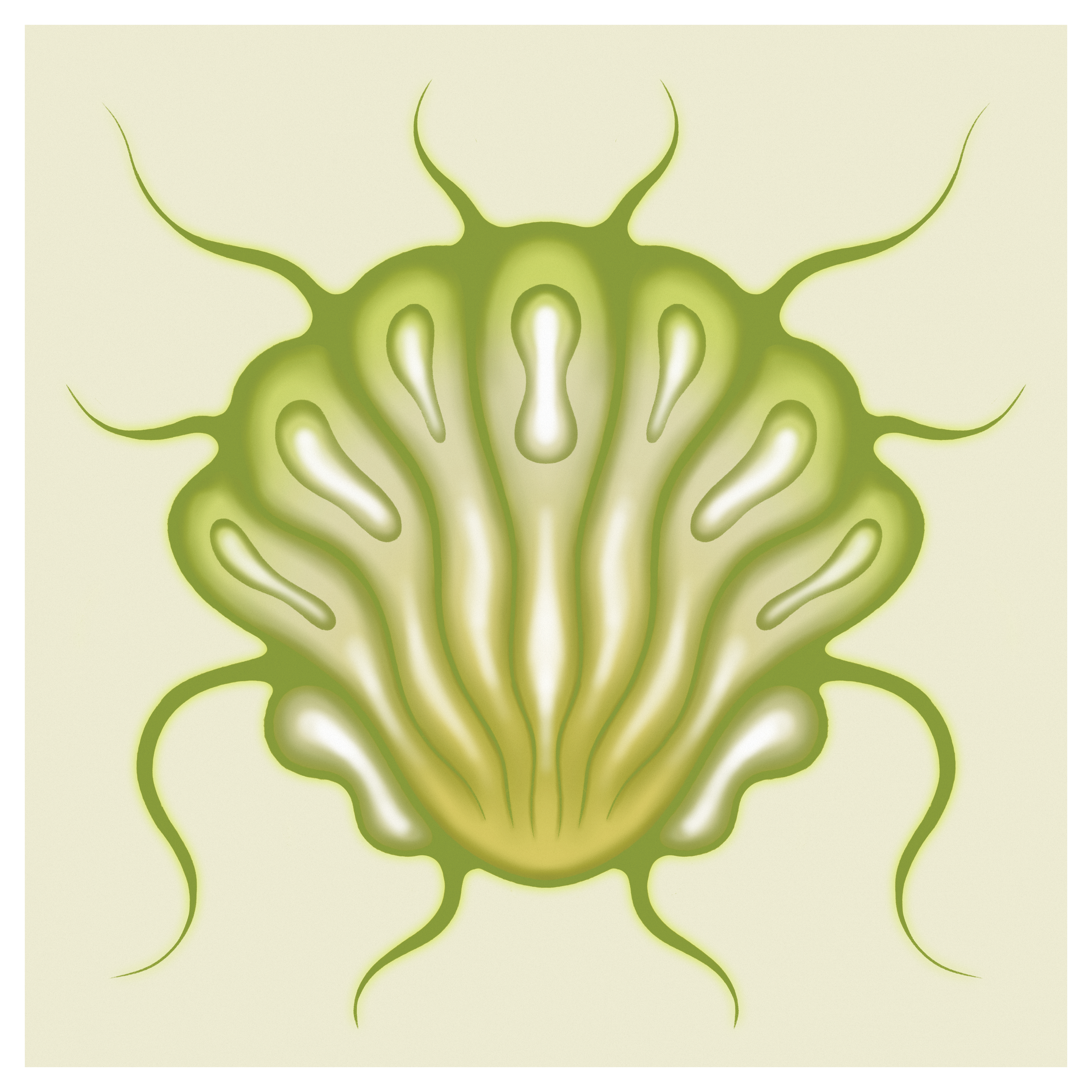 SHELL_11x11_01_v1.png