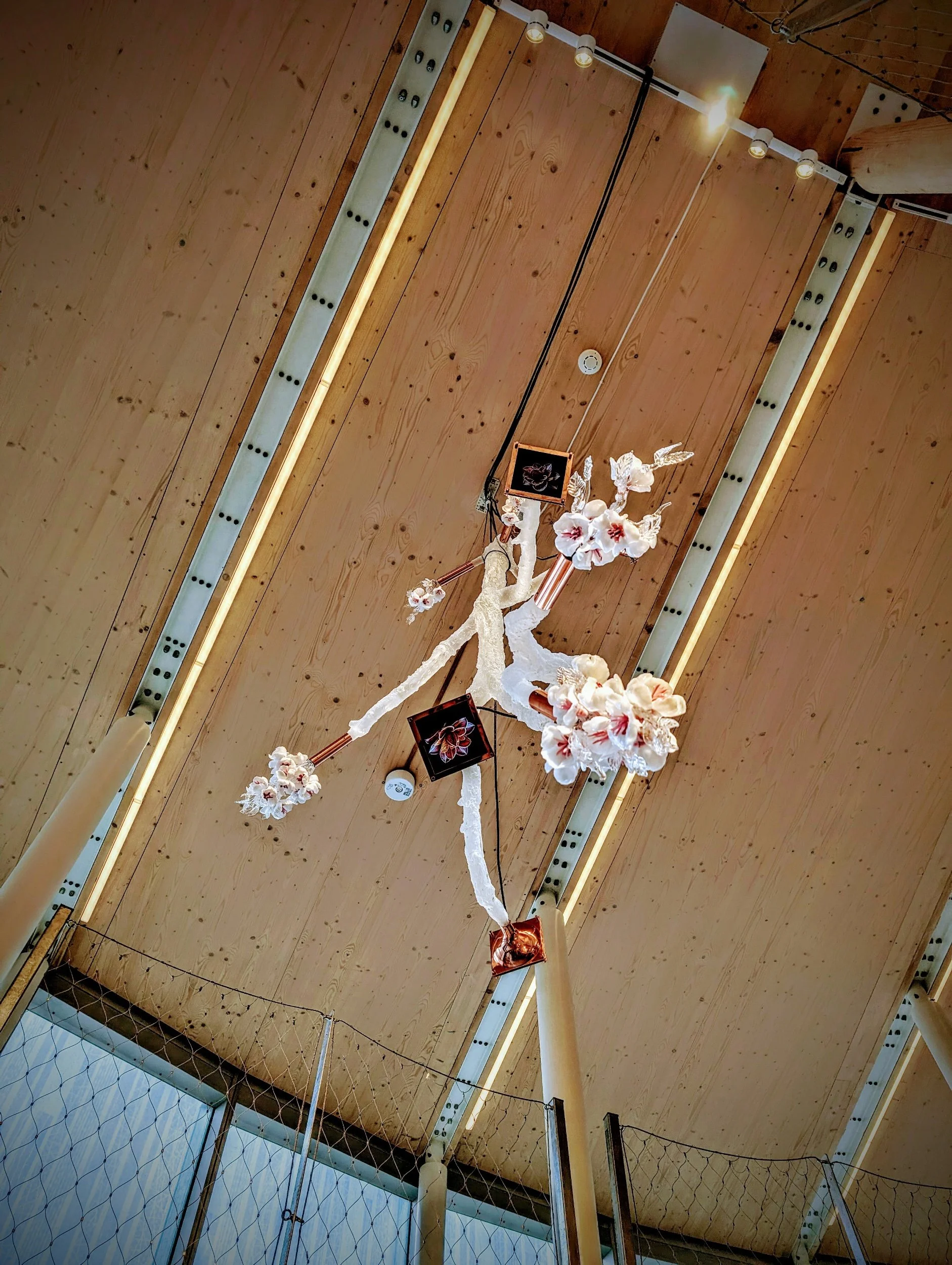 Expo Osaka | Czech National Pavilion