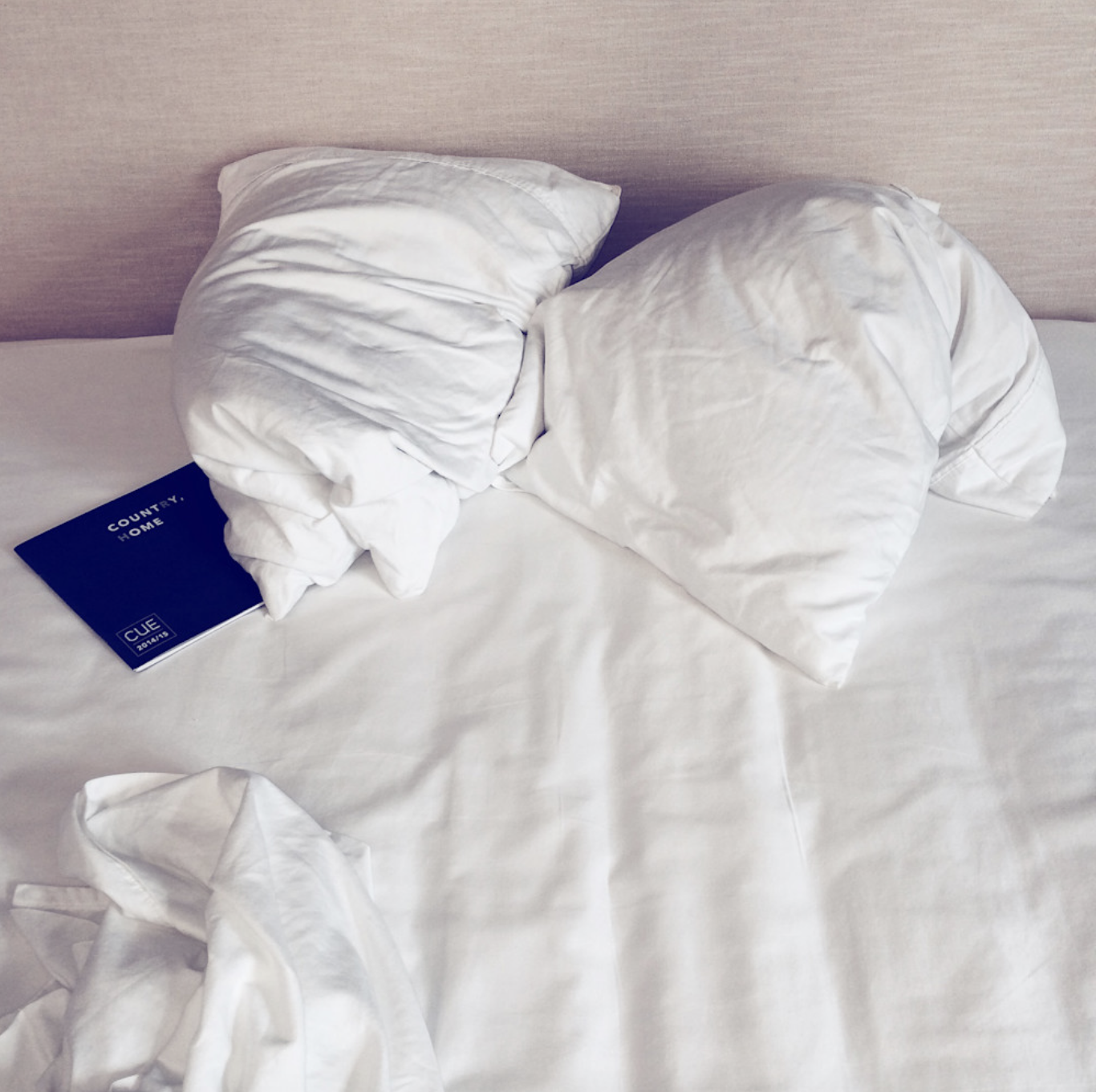 Screenshot 2025-11-17 at 5.04.11 PM.png