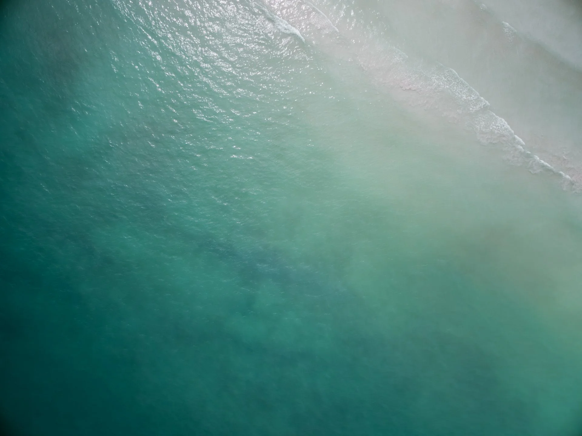 Alejandra Regalado_Holbox No.1_Low Rez.jpg