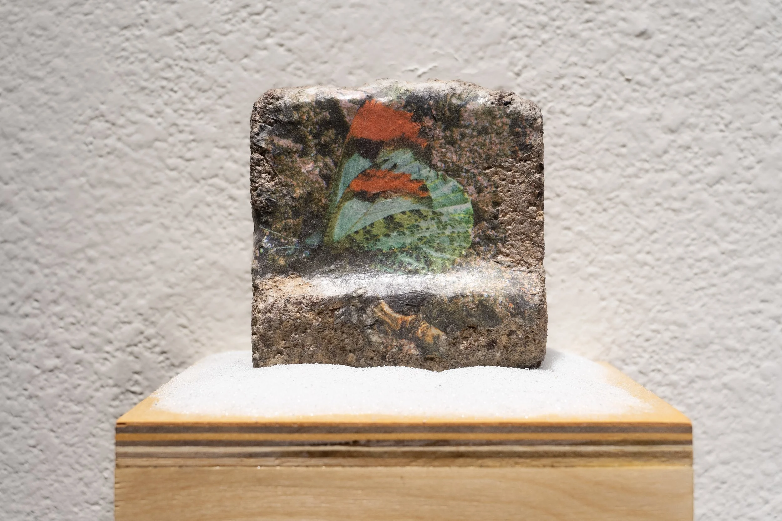 K Space Biennial_00104.jpg