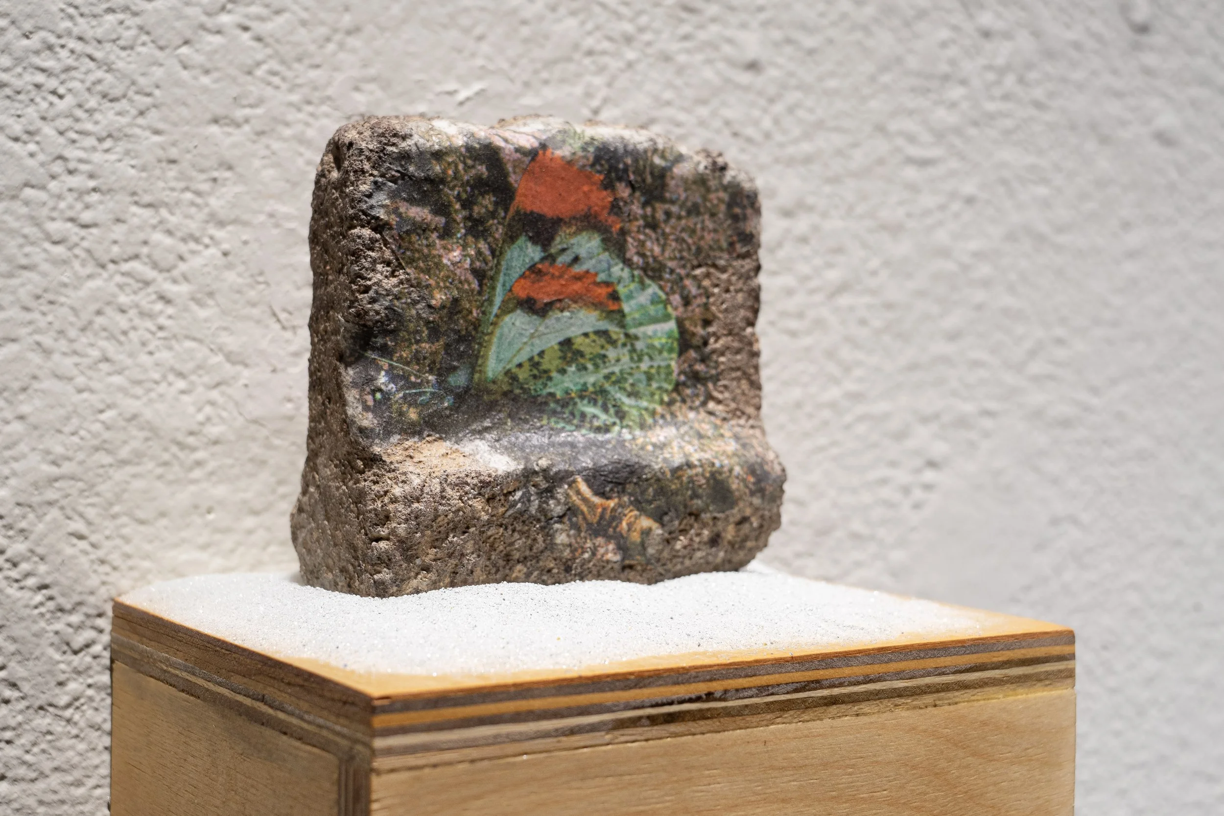 K Space Biennial_00103.jpg