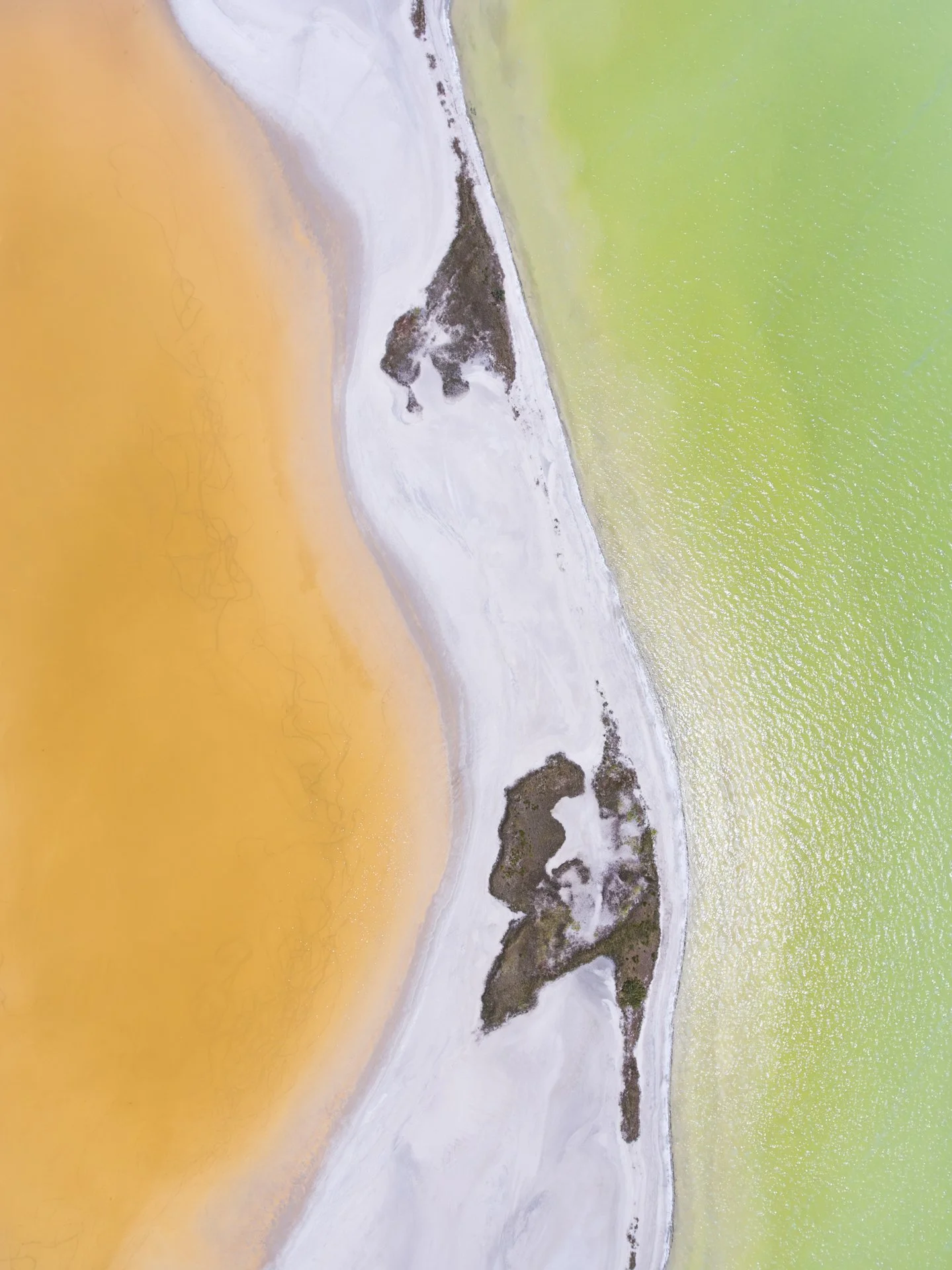 Alejandra Regalado_Ria Lagartos No.2_Low Rez.jpg