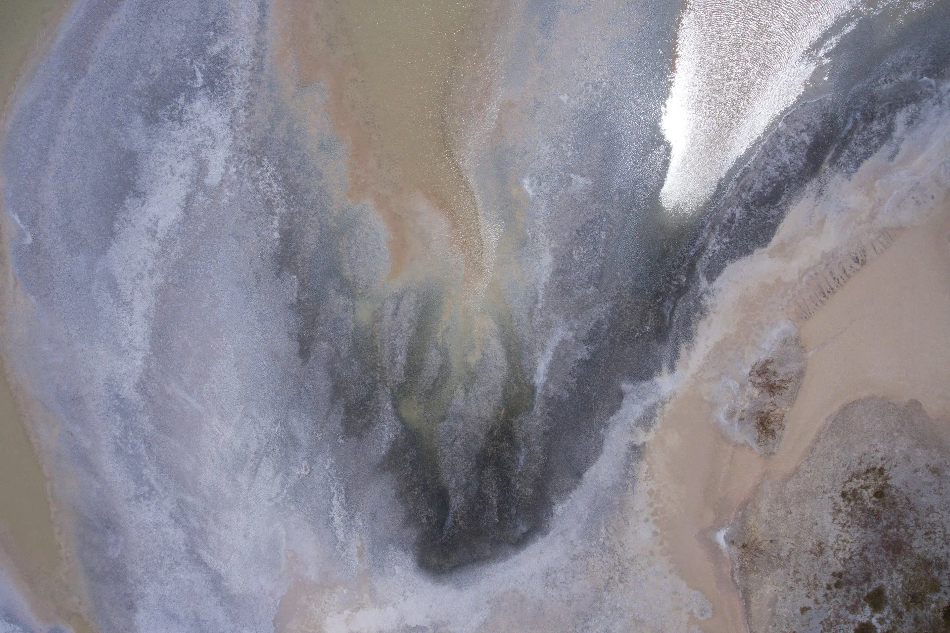 Alejandra Regalado_El Cuyo No.5_Low Rez.jpg