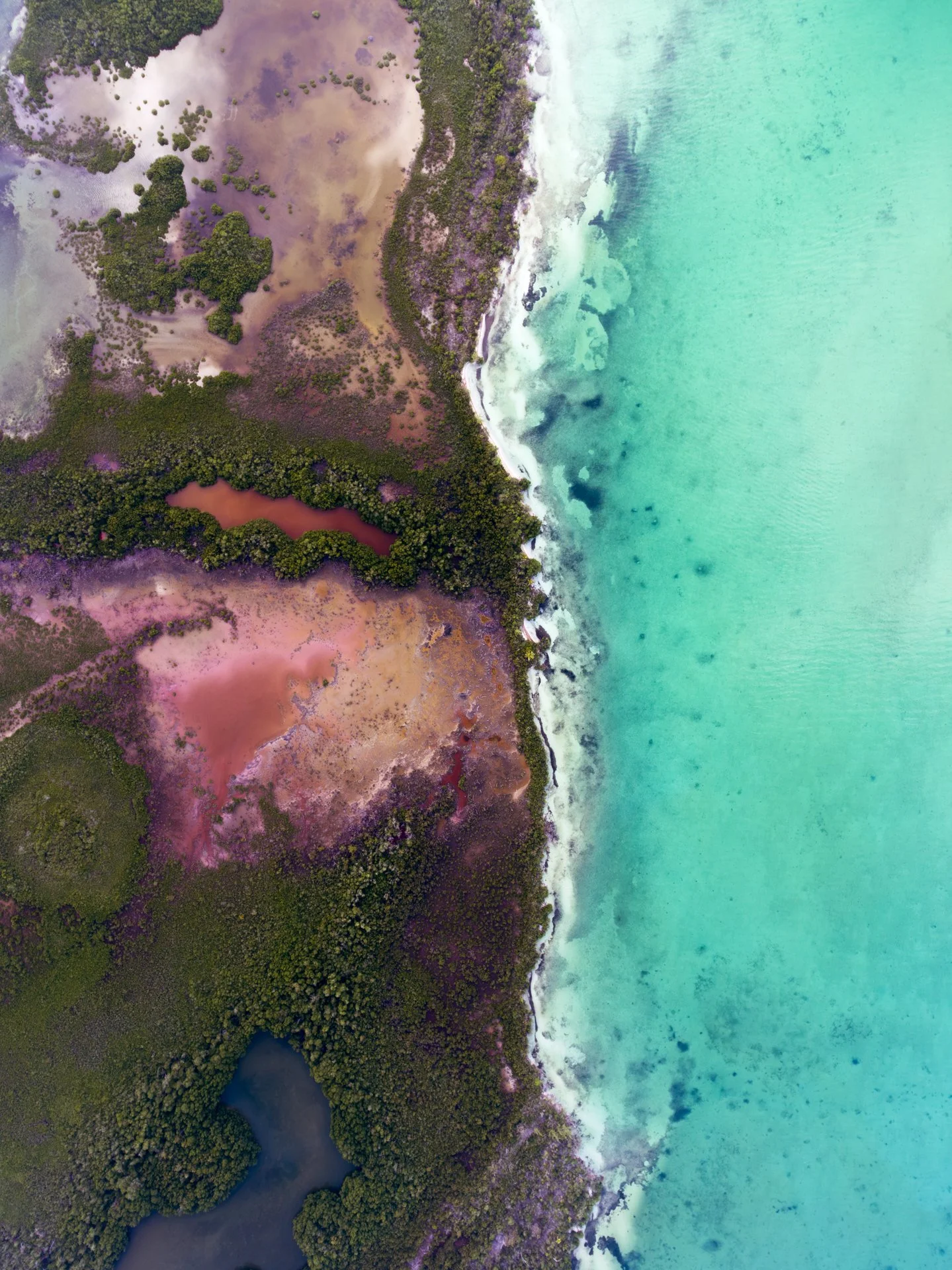 Alejandra Regalado_Punta Gorda_Low Rez.jpg