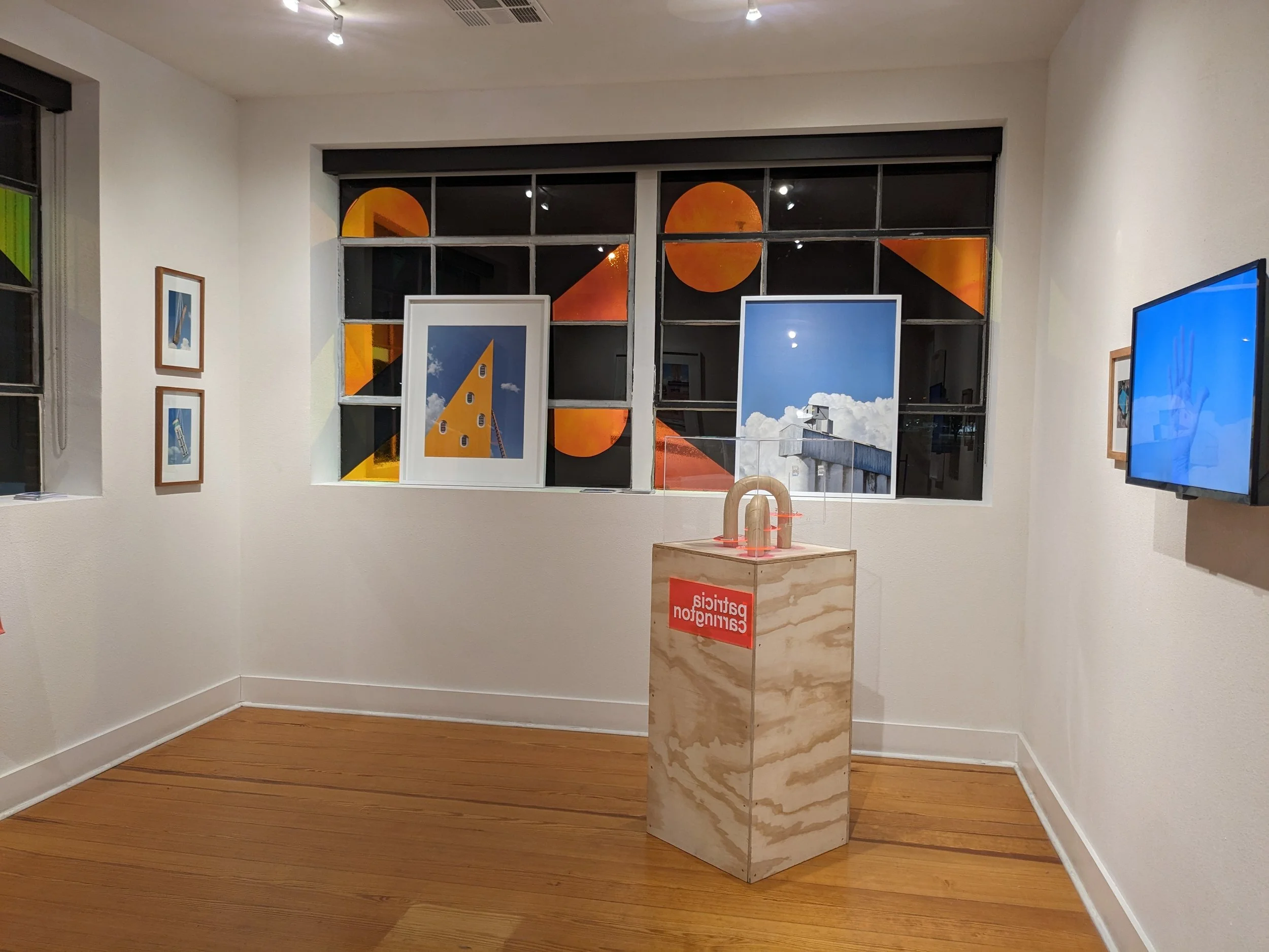 "i n c u b a t i o"
Patricia Carrington, 
The Projecto Showroom