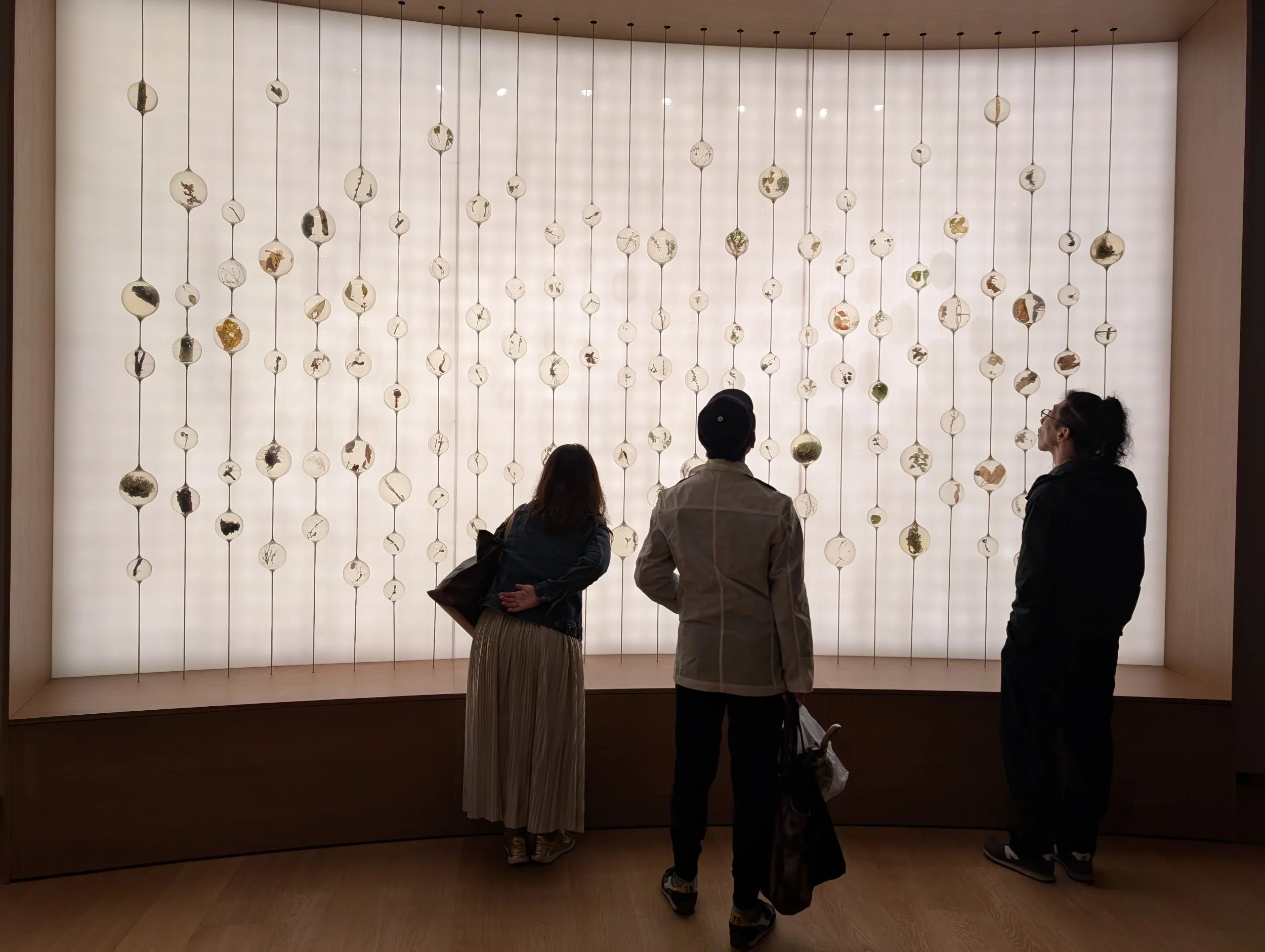 Expo Osaka | Poland Pavilion