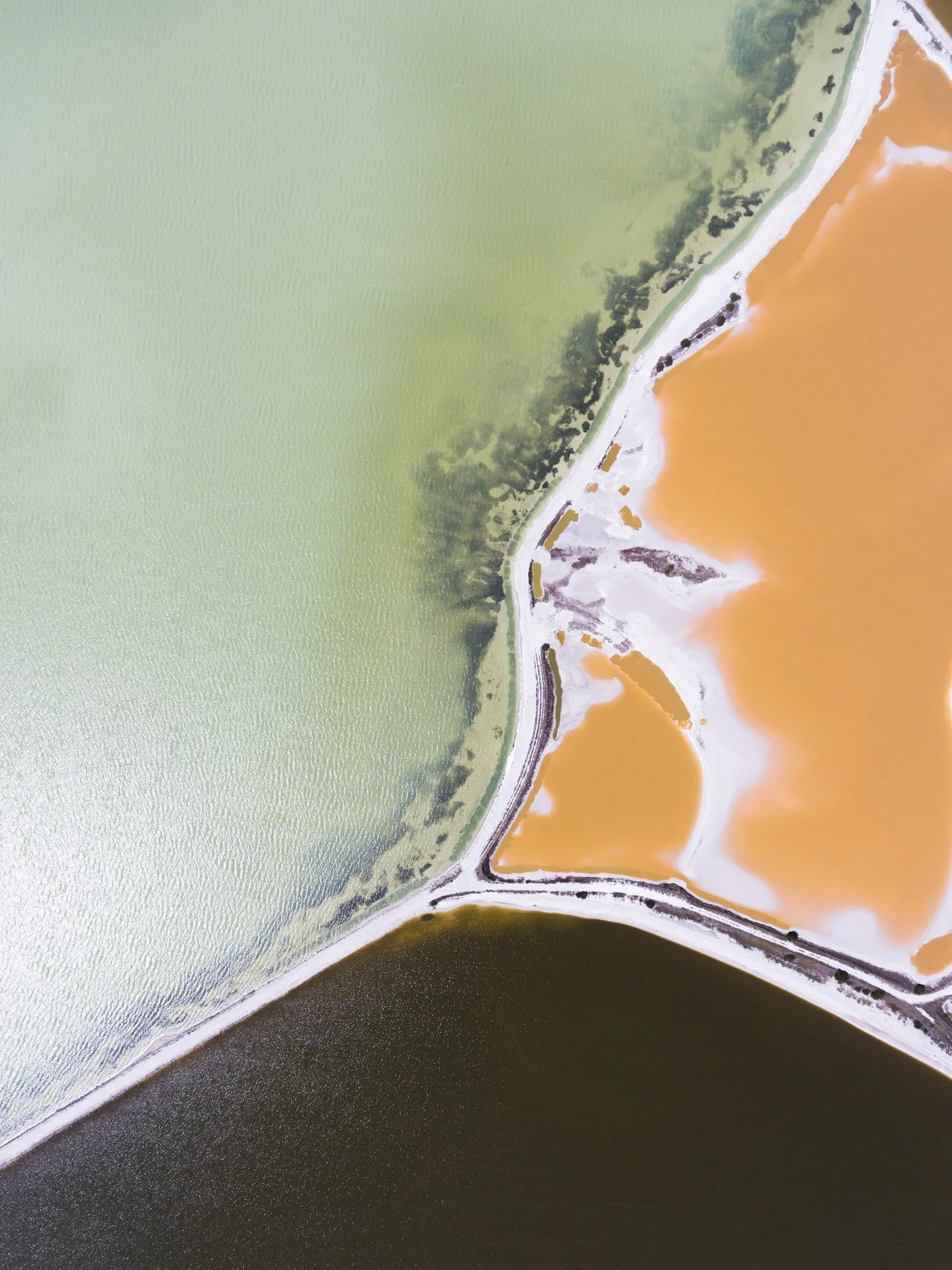 Alejandra Regalado_Ria Lagartos No.1_Low Rez.jpg