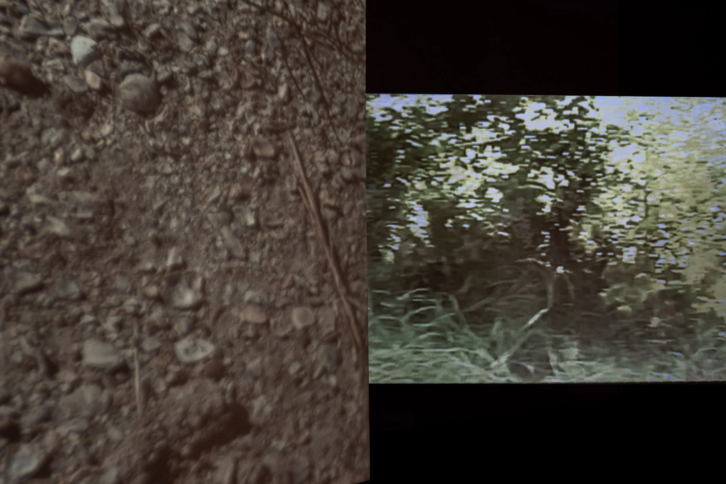 K Space Biennial_00145.jpg