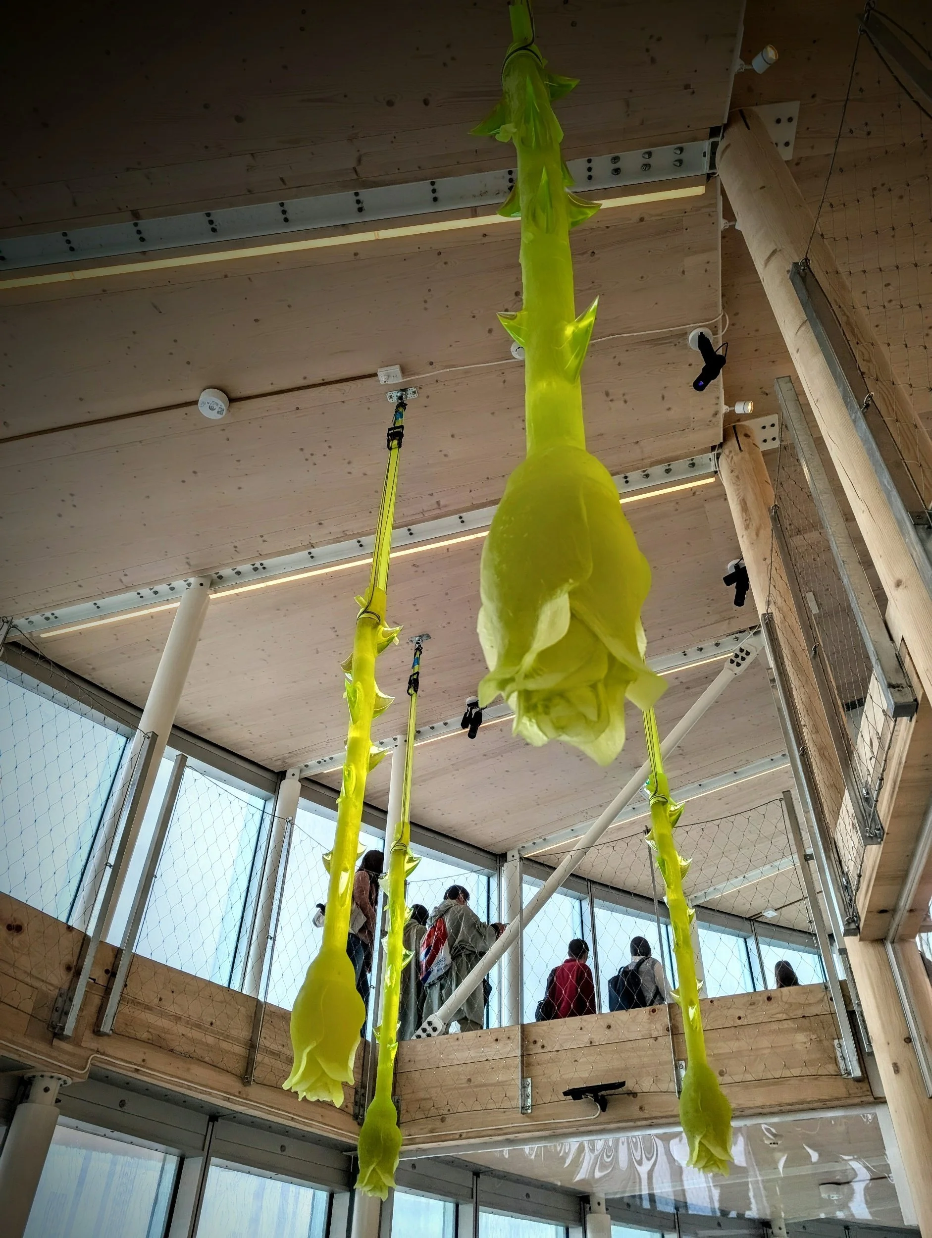 Expo Osaka | Czech National Pavilion