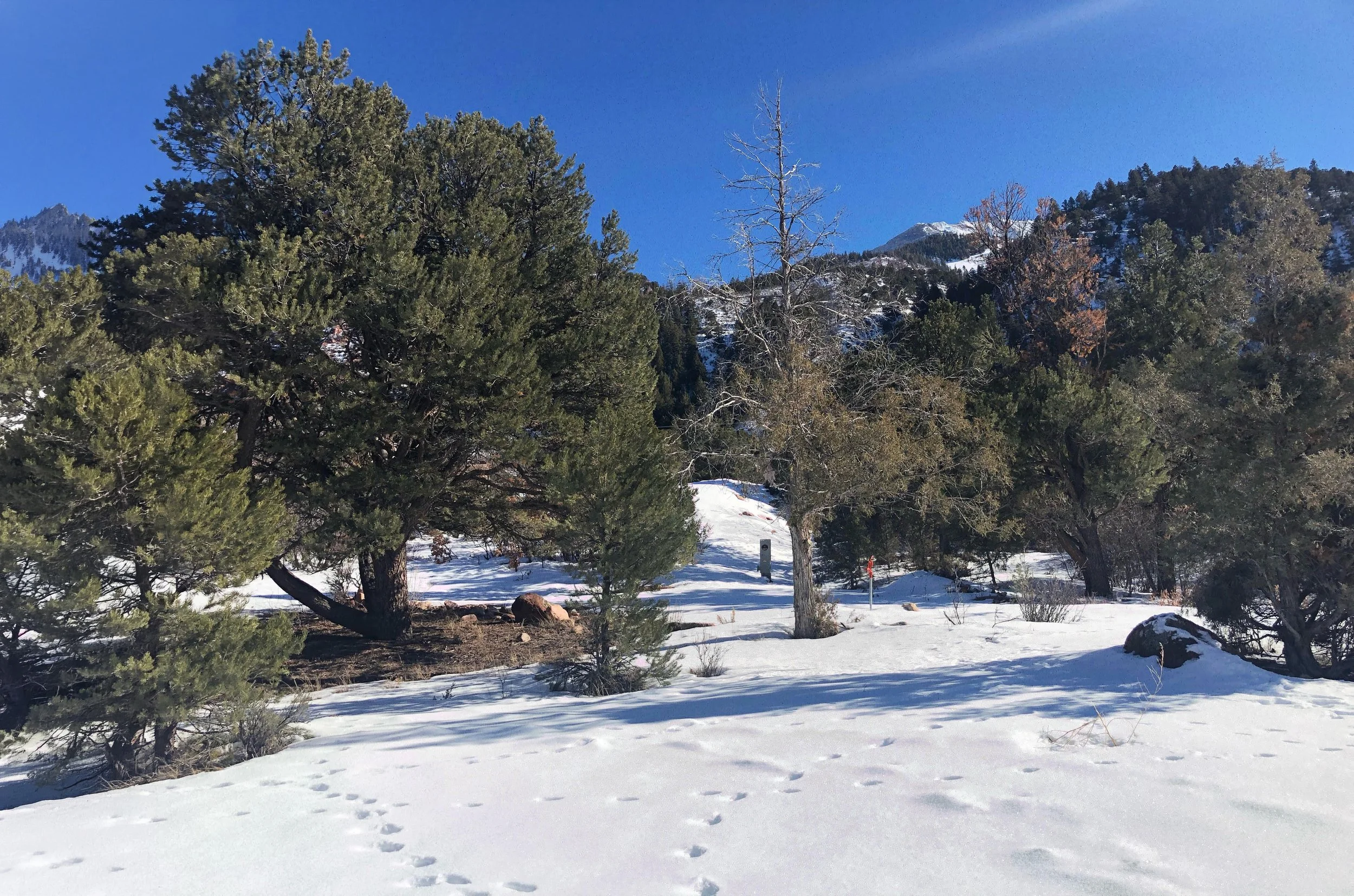 A snowy colorado healthy home build site