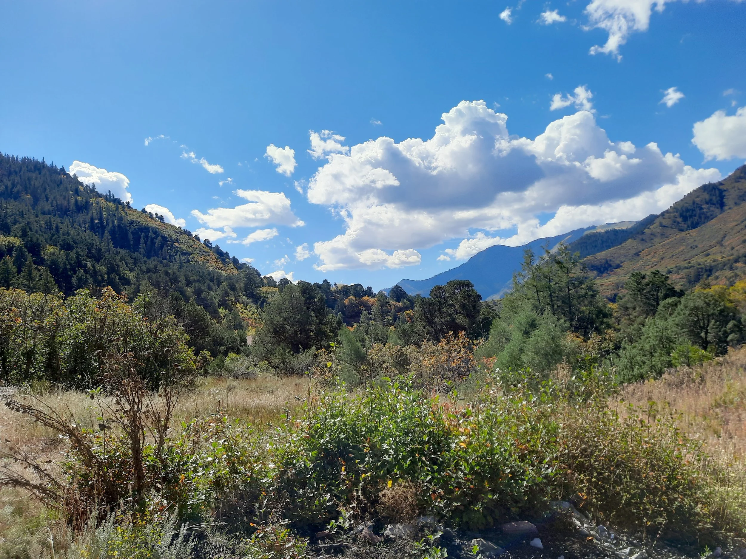 future build site in colorado for a healthy home
