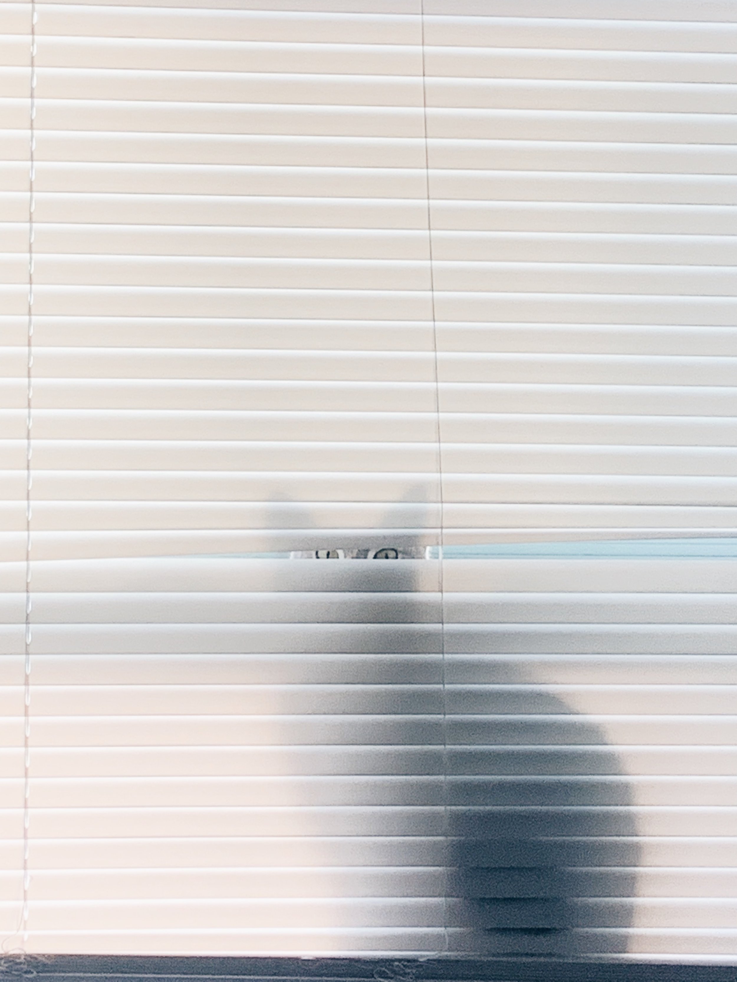 7BAFD805-4A93-4C45-B39A-DE6D4551EB76.jpg
