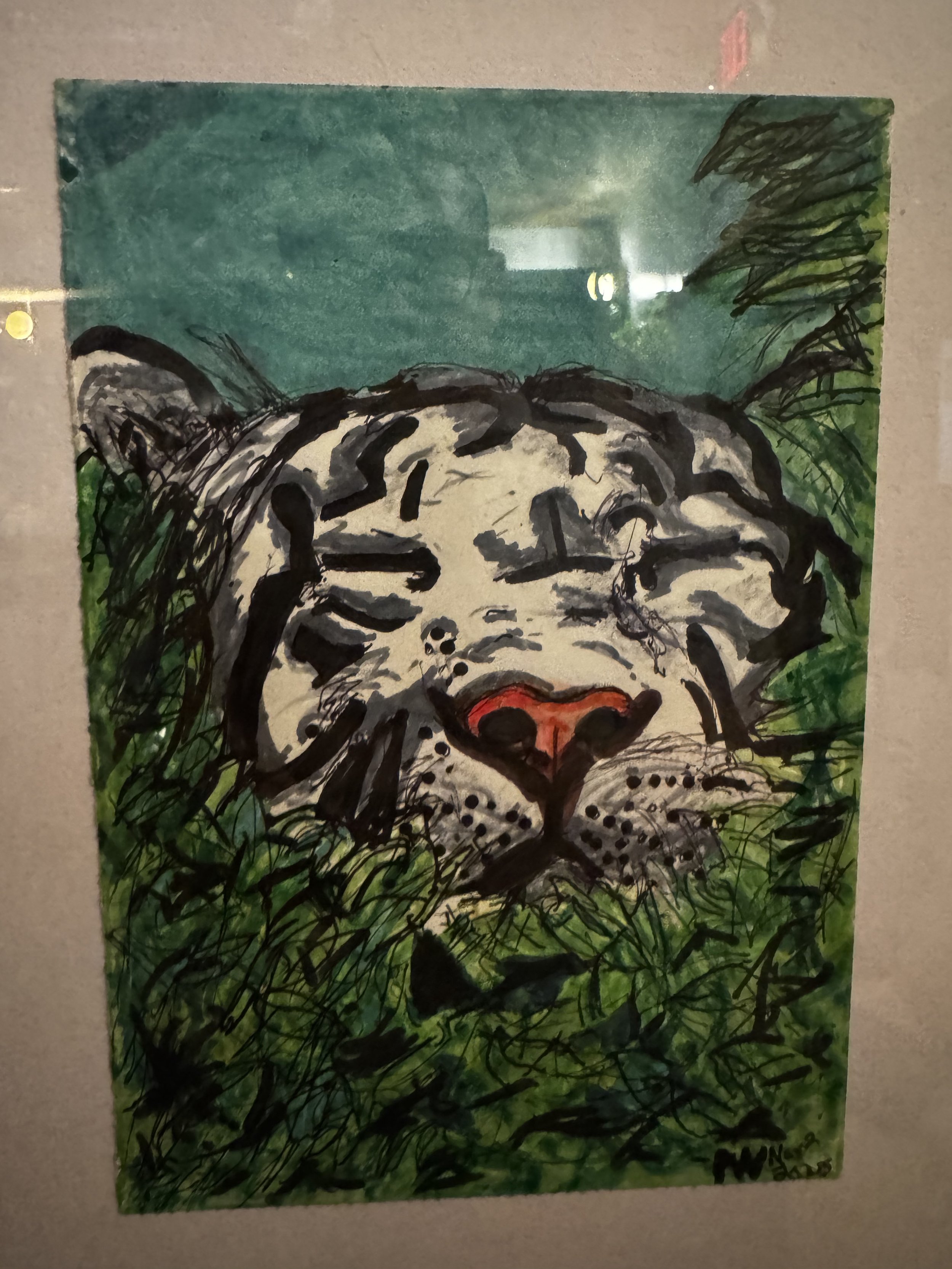White tiger in grass.jpg