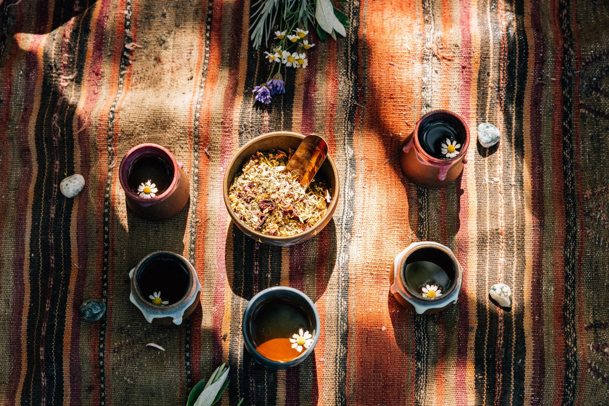 Summer Strength Circle