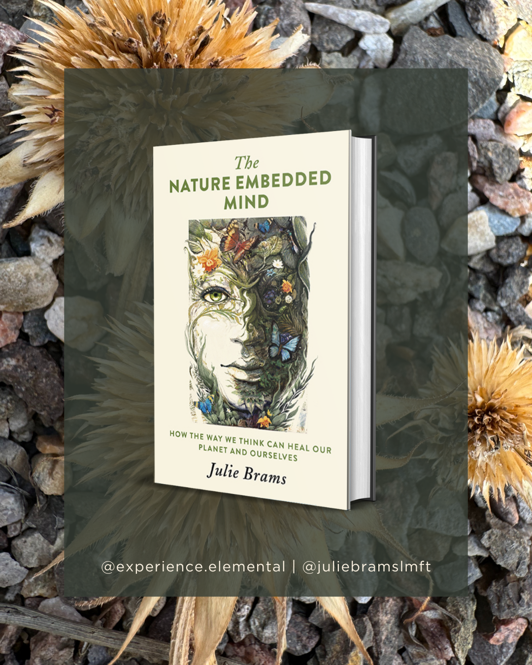 Book Signing + Meet-the-Author: The Nature Embedded Mind with Julie Brams
