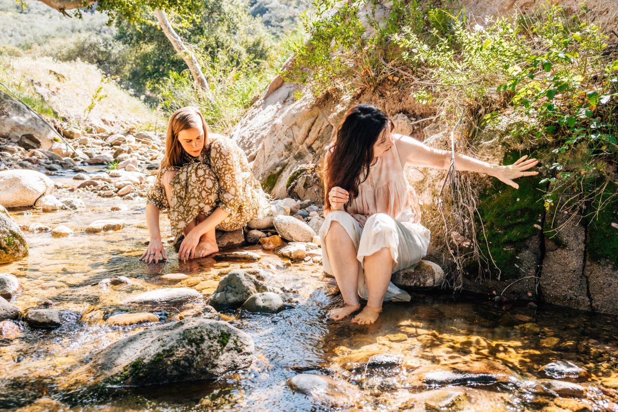 The Nature Embedded Mindset: Morning Meditation