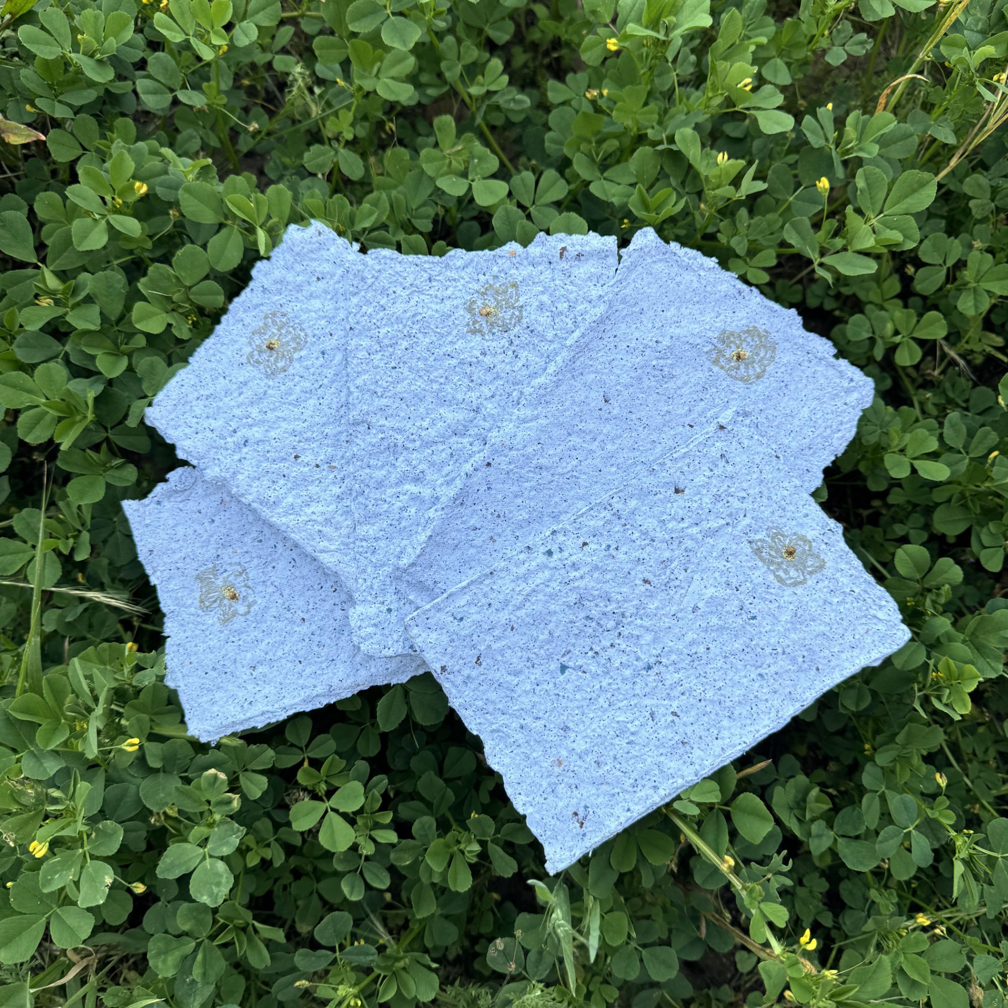 Elemental_Reconciliation-Paper_group-birdseye-clovers.jpg