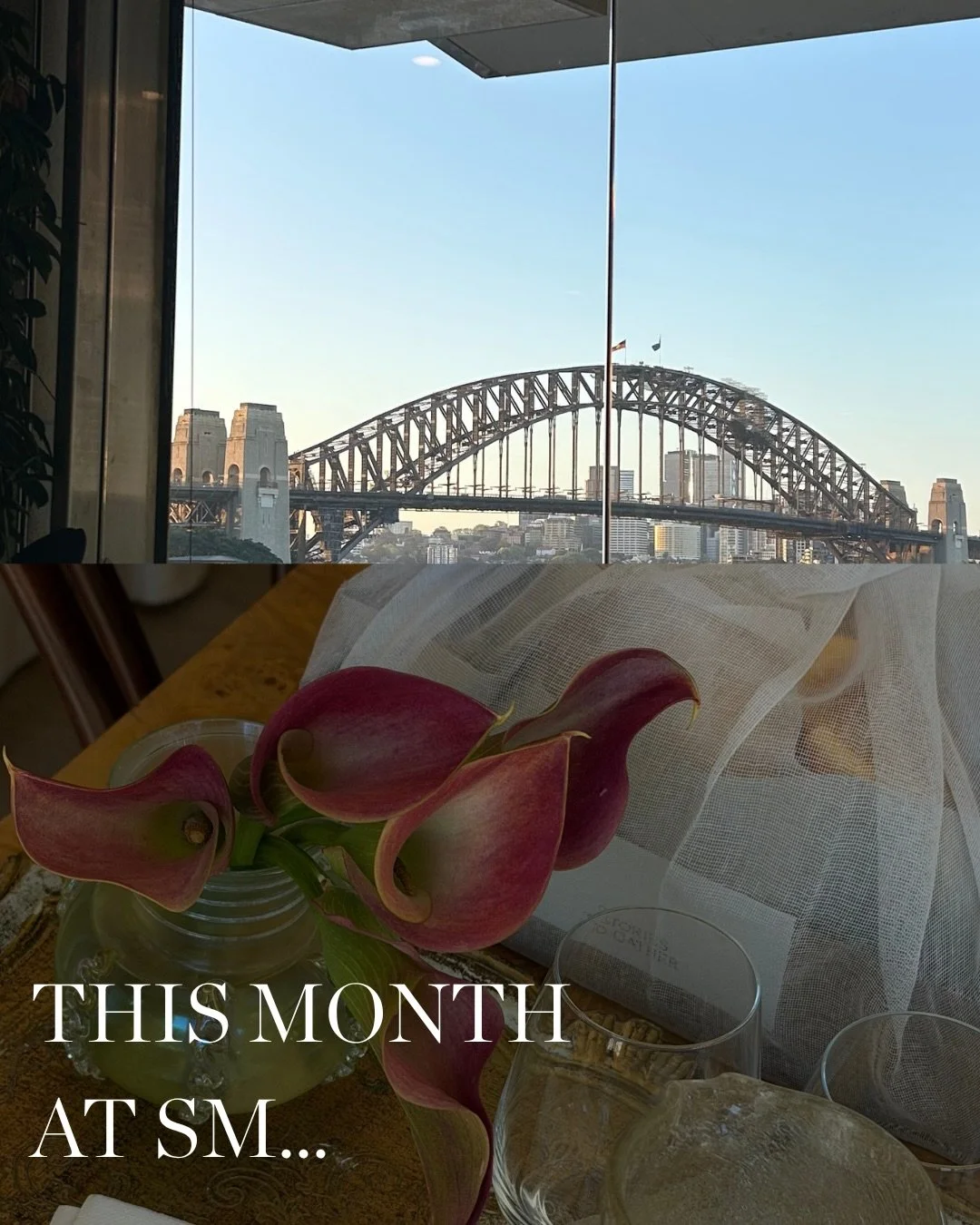 A month with SM&hellip; a little look at what we&rsquo;ve been up to lately 🤍