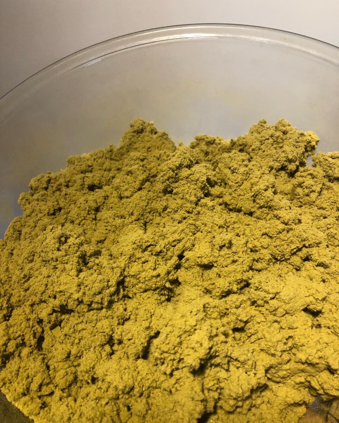 Moxa_1_aged vulgaris.jpg