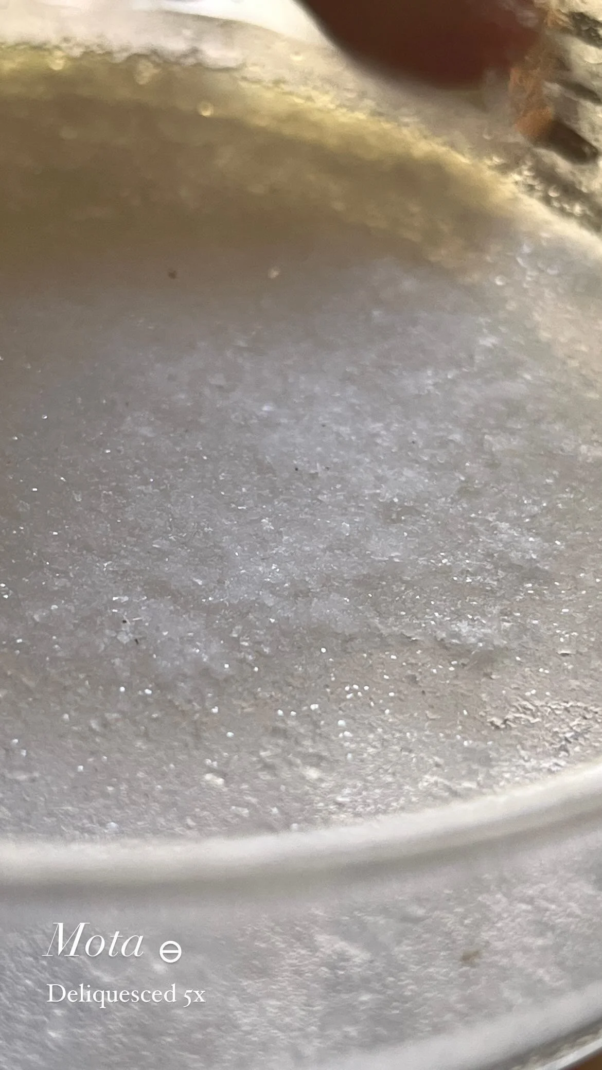 mugwortsalts2.JPEG
