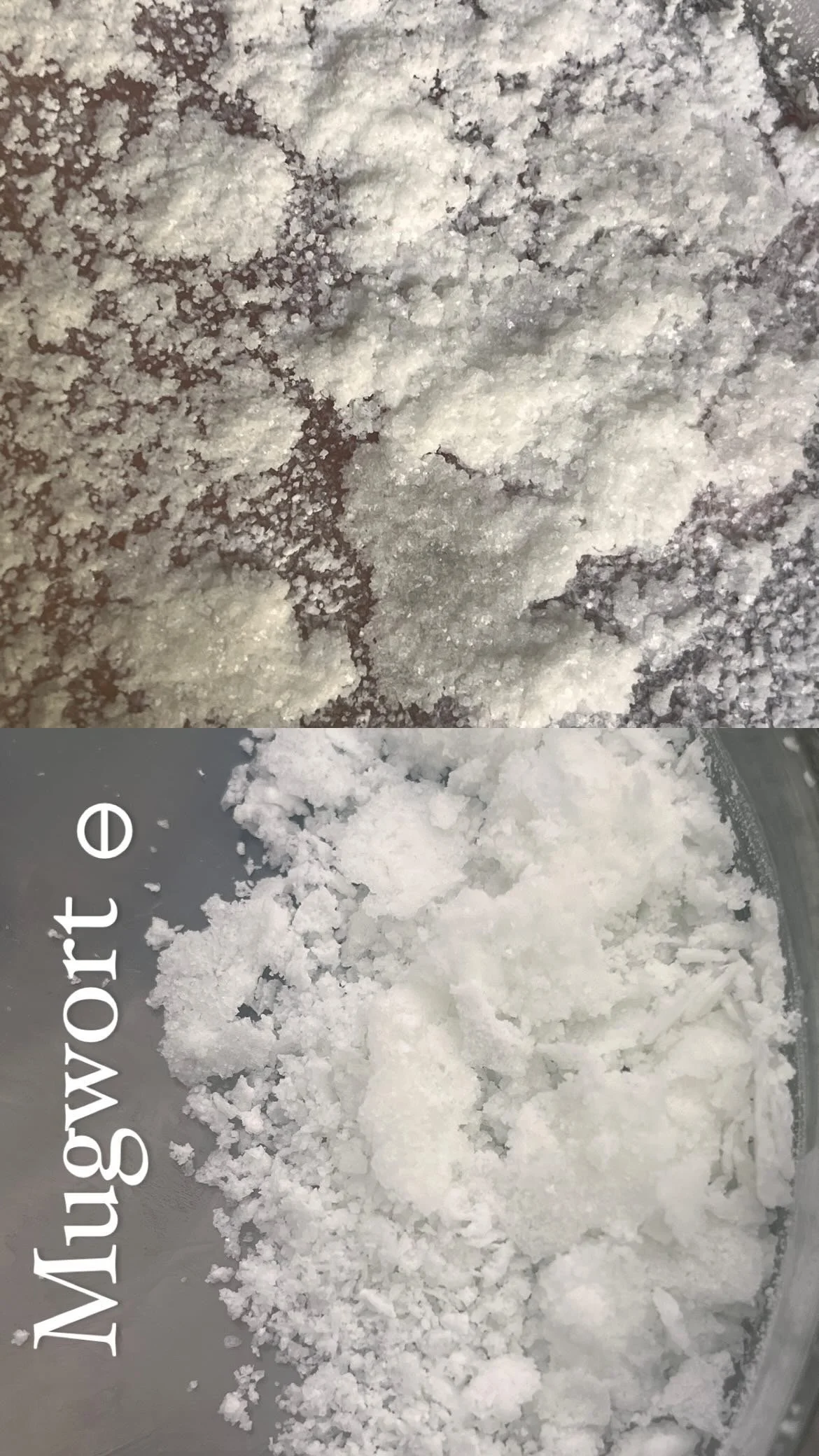 mugwortsalts1.JPEG