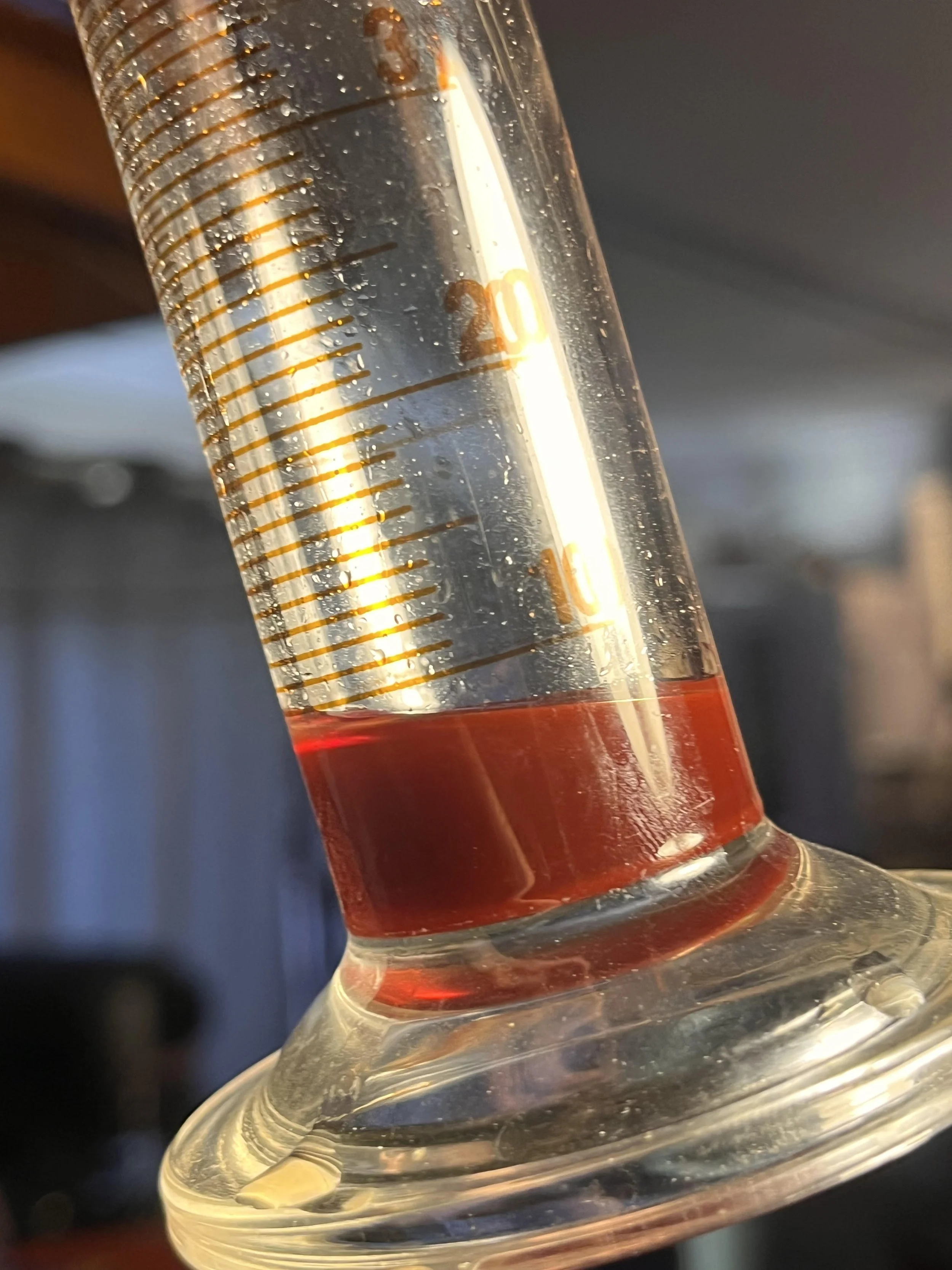 Hypericum Castor Oil.jpg