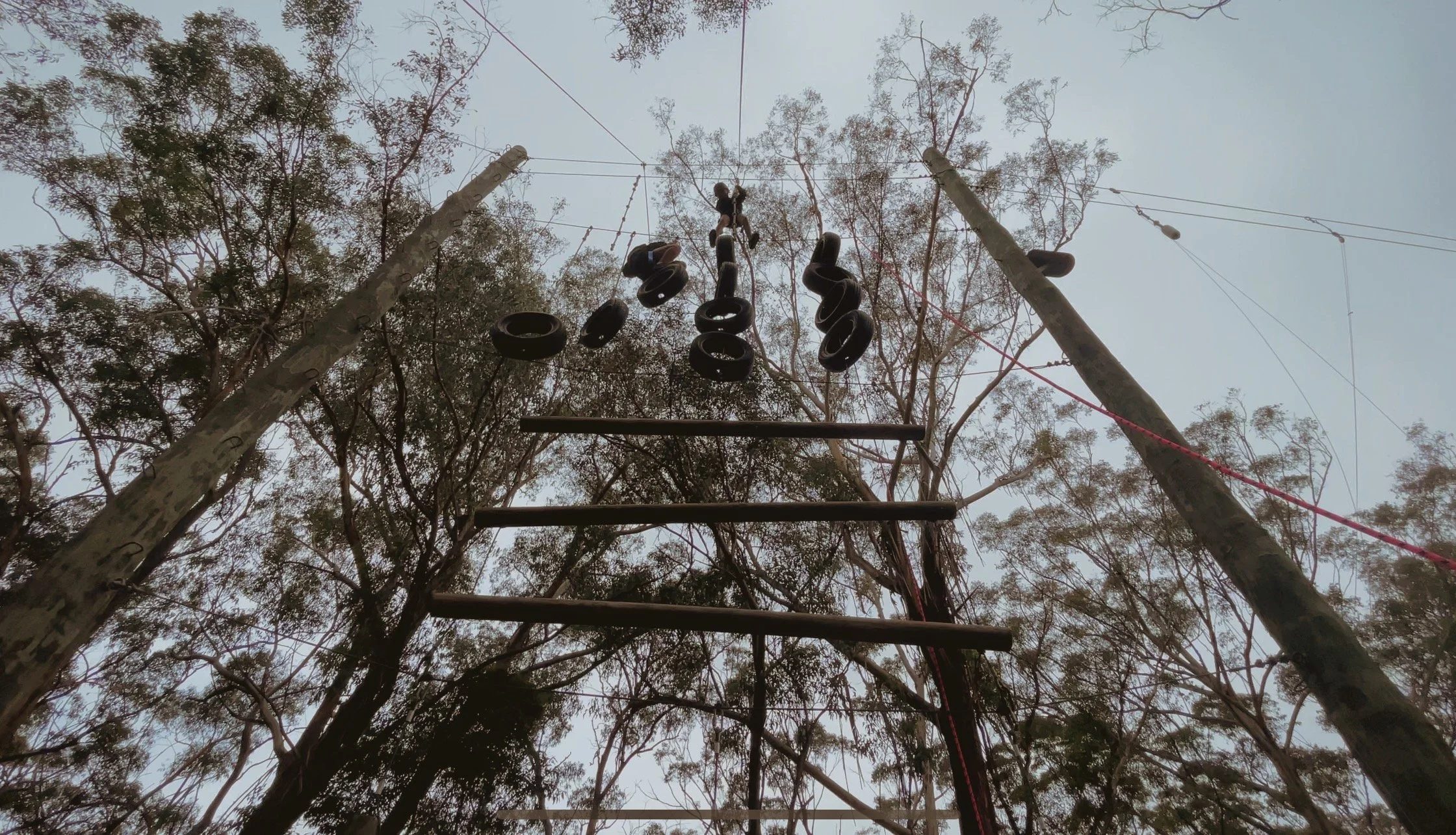 Vertical obstacle course