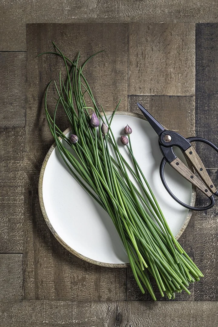 A bunch of green chive flowers with purple buds on a white round plate, next to a pair of black and wooden scissors on a wooden surface.