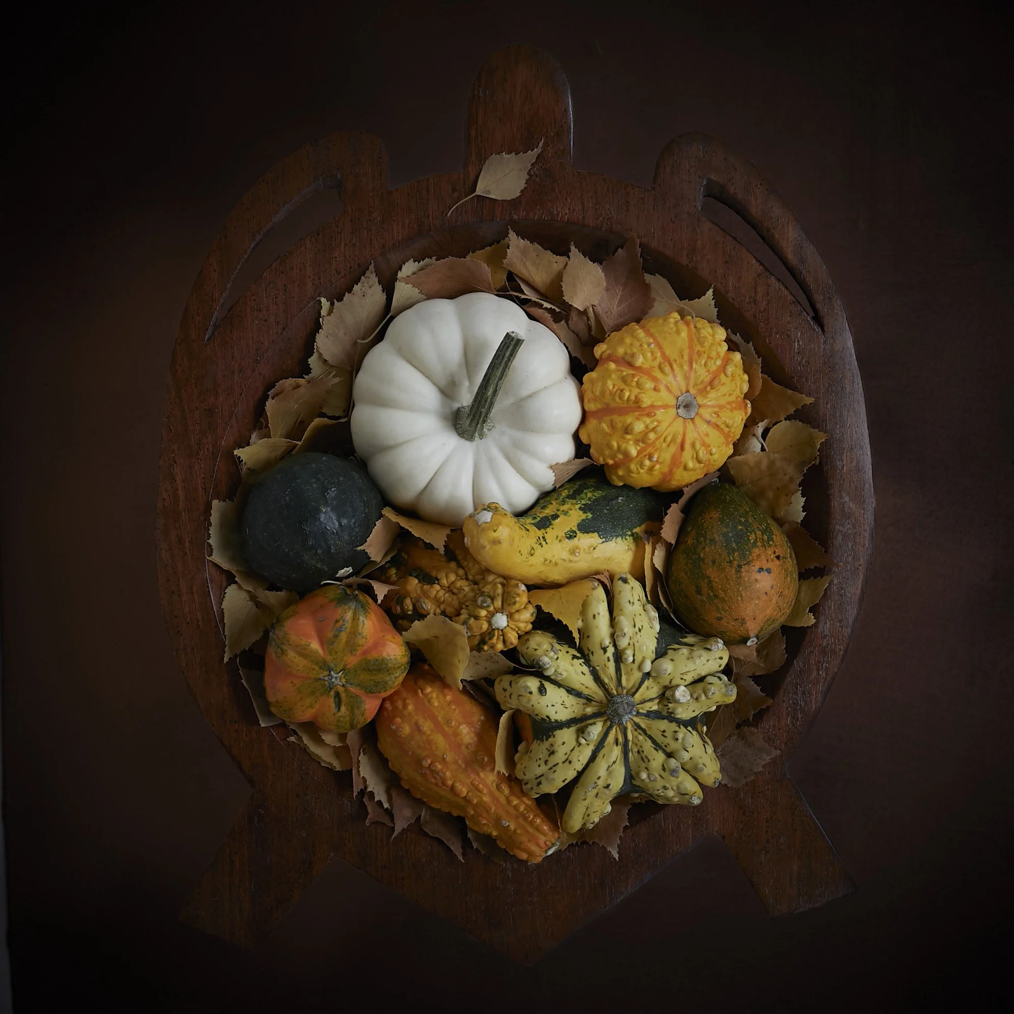 A wooden tray filled with assorted pumpkins and gourds, surrounded by dried fall leaves.