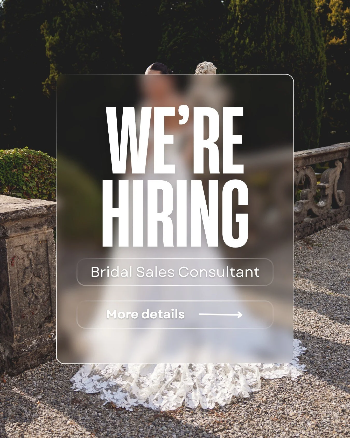 Exciting News - Miss Bella Boronia are Hiring!!

Do you have a naturally calm and supportive nature with a love for bridal and helping women feel their absolute best?

If yes, we would love to hear from you!

Miss Bella Bridal is looking for a specia