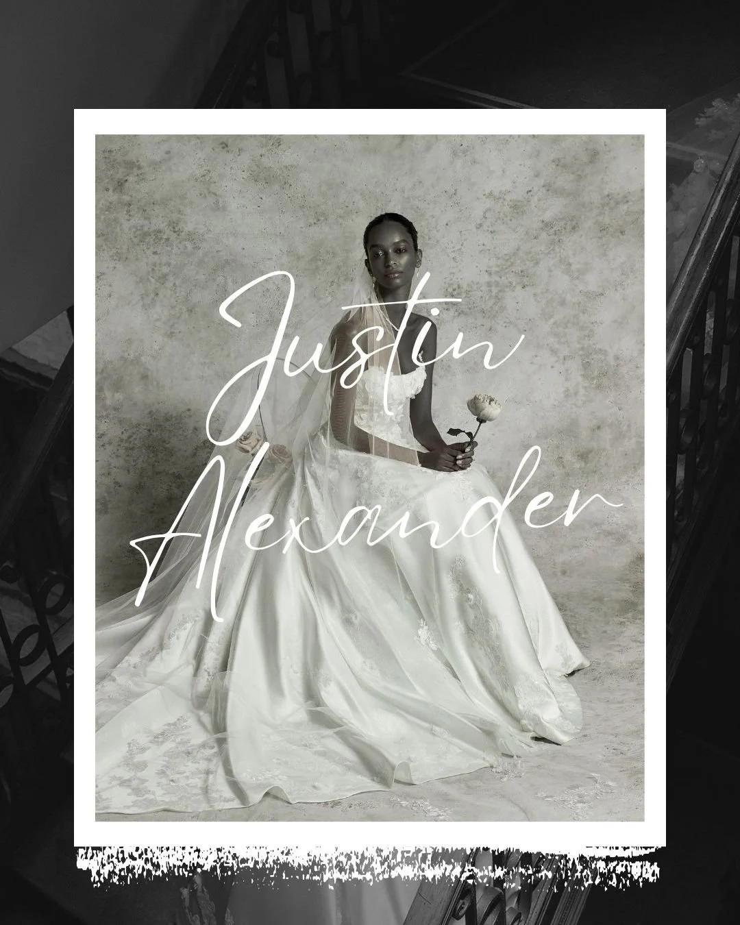 Introduction to our Justin Alexander ranges and their prices!
Call or email our boutiques to find out more 🤍

#justinalexander #sincerity #lillianwest #signature #2027bride