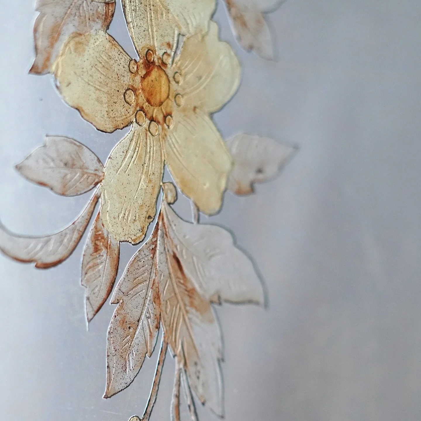 Textures &amp; details from Chalk Knoll