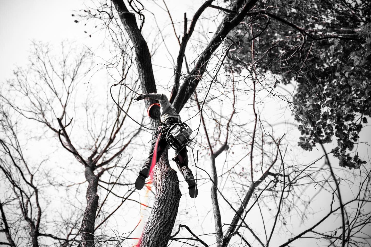 How Sweet is this matching set?? The world needs more red gear!⁠
#arborist #treework #treelife #treeclimbing #treesurgeon #treeclimber #chainsaw #treecareindustry ⁠