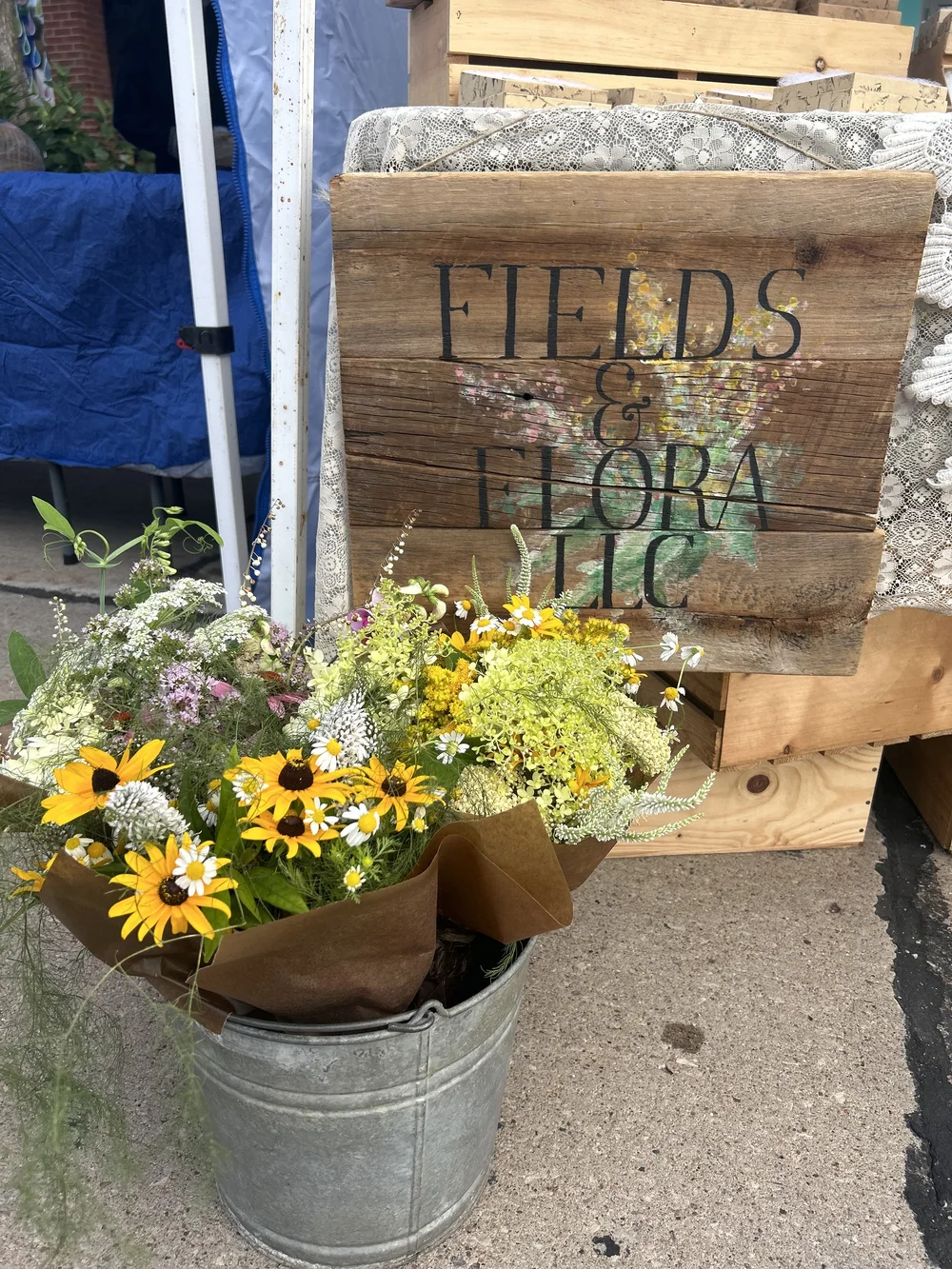 yarrow, queen anne's lace, sweet peas 