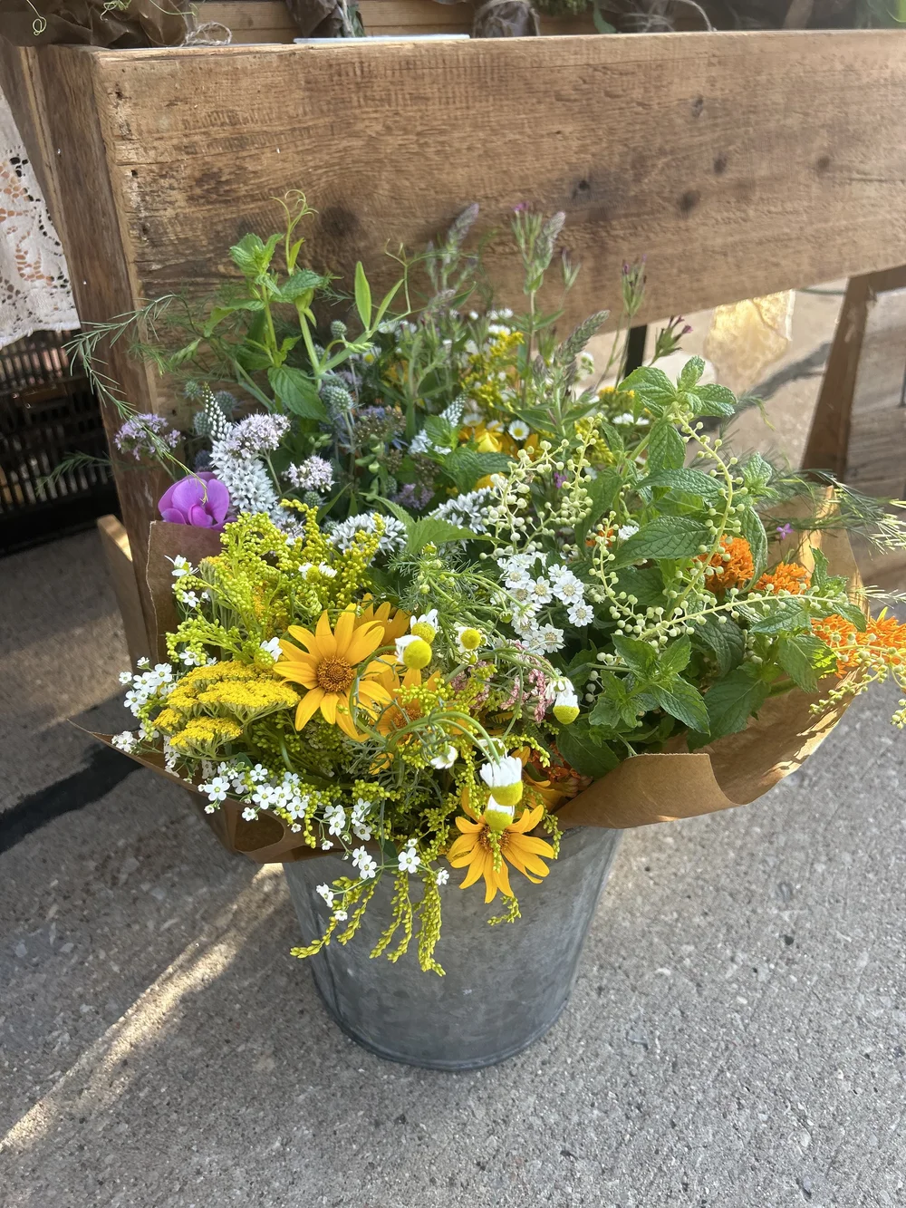 goldenrod, sweet peas, spurge, loosestrife 