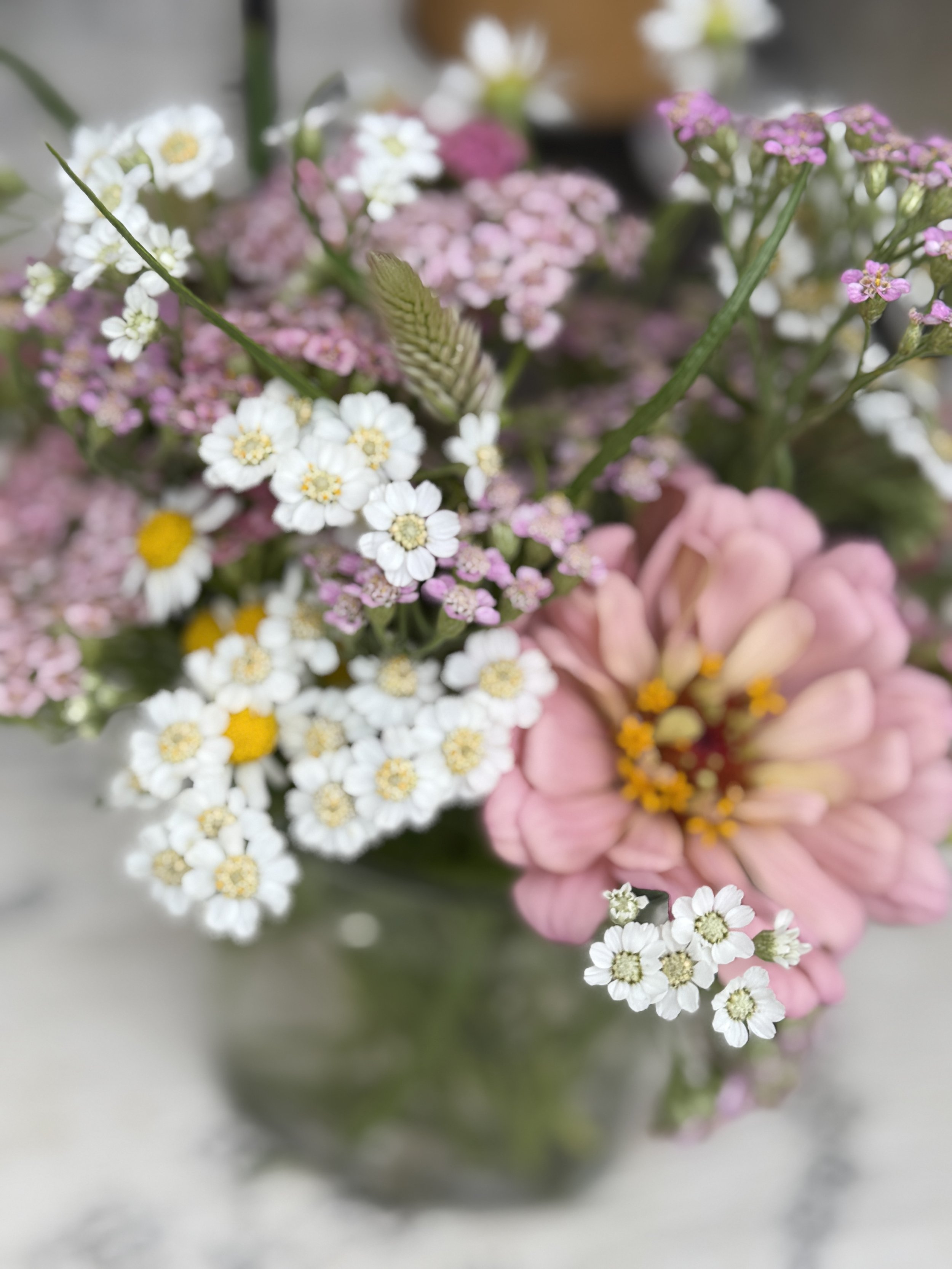 IMG_0951.jpeg