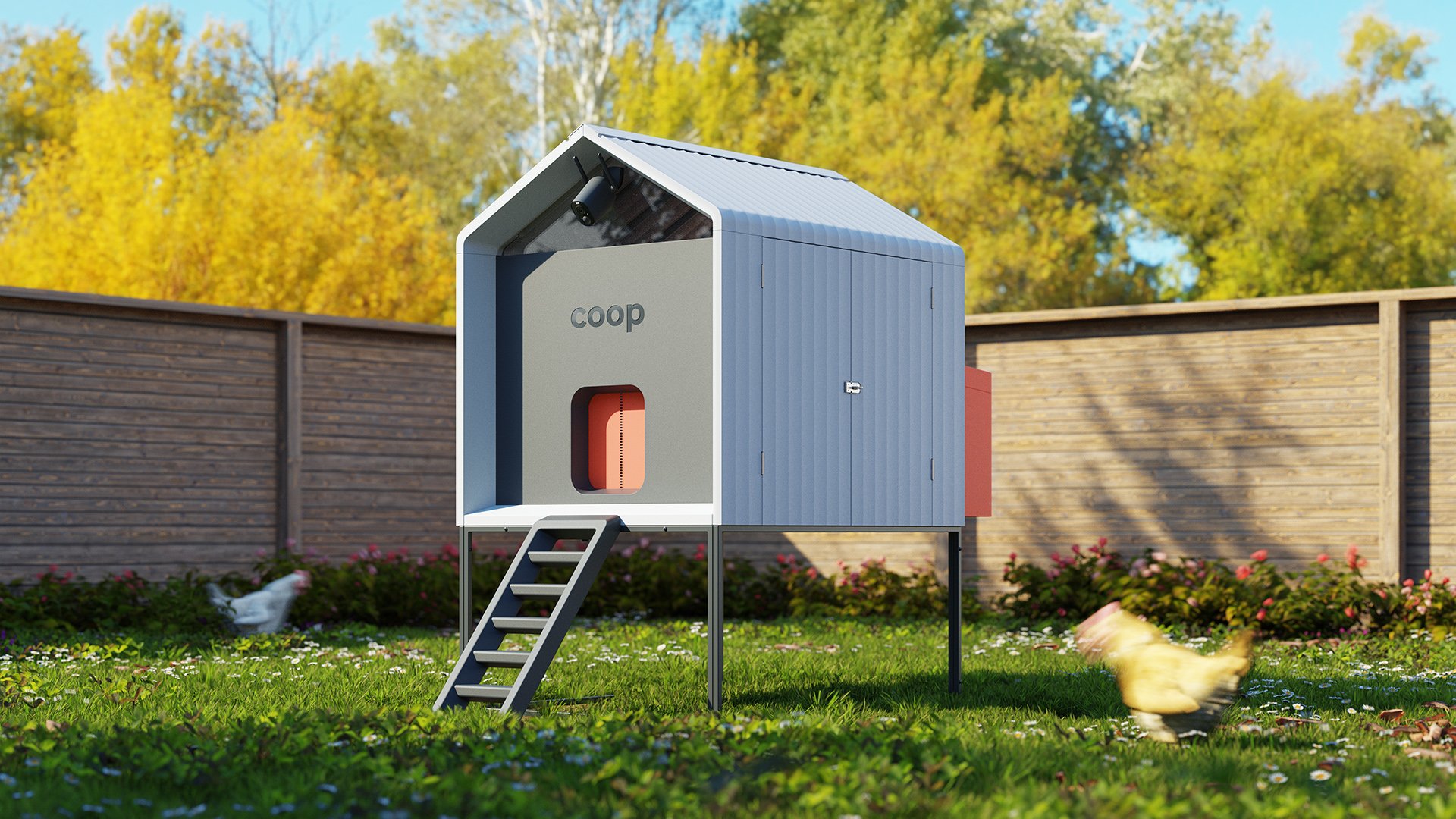 How to Start a Backyard Chicken Coop for Fresh Eggs