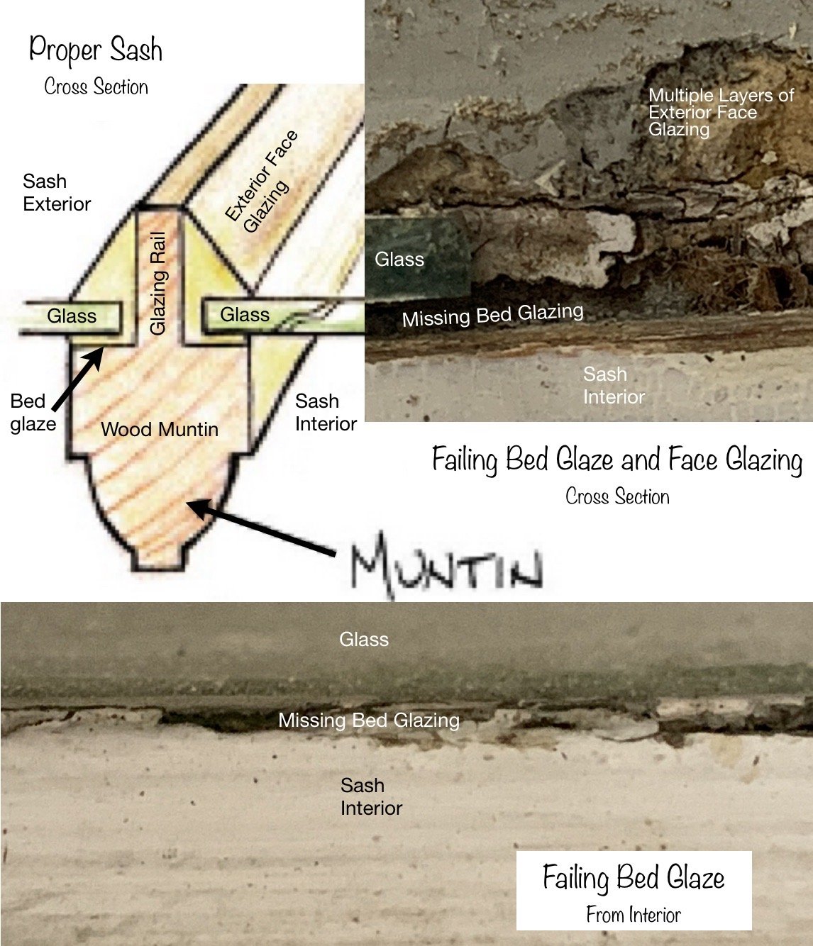 Window sash muntin cross section and putty glazing failure
