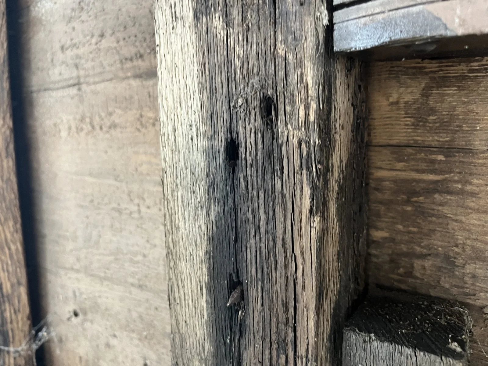 SW 13 Damage Inspection 