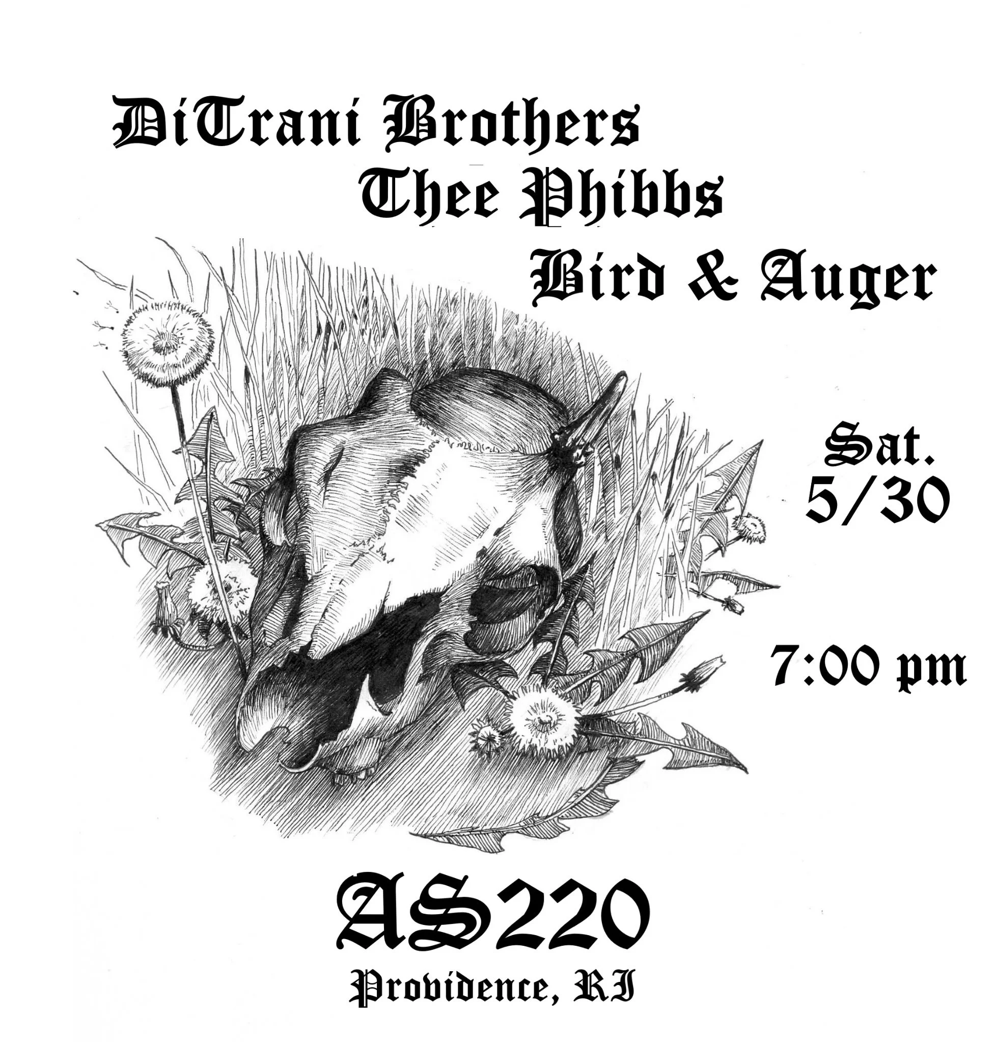 Ditrani Brothers + Thee Phibbs + Bird &amp; Augur
