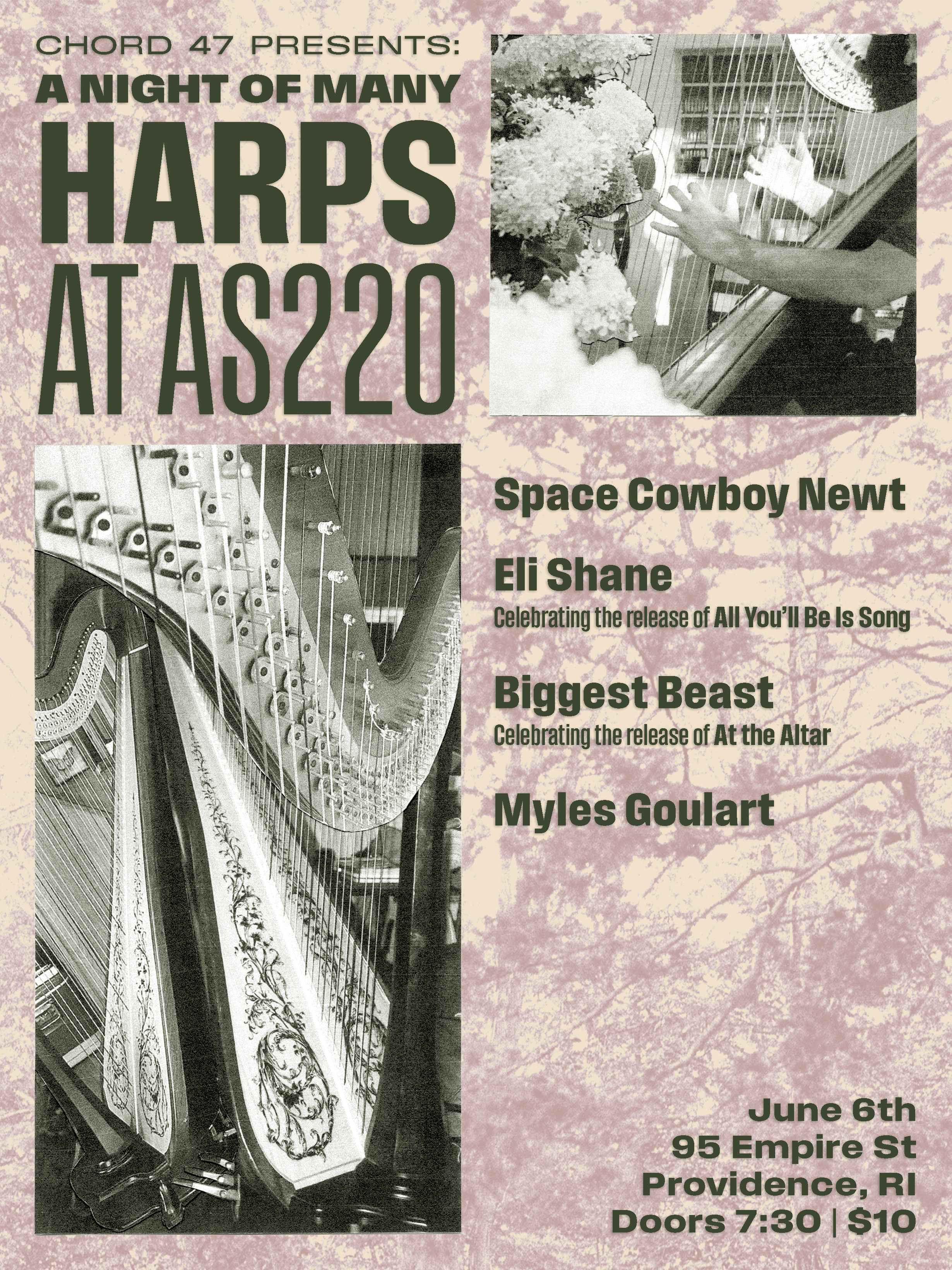 A Night of Many Harps