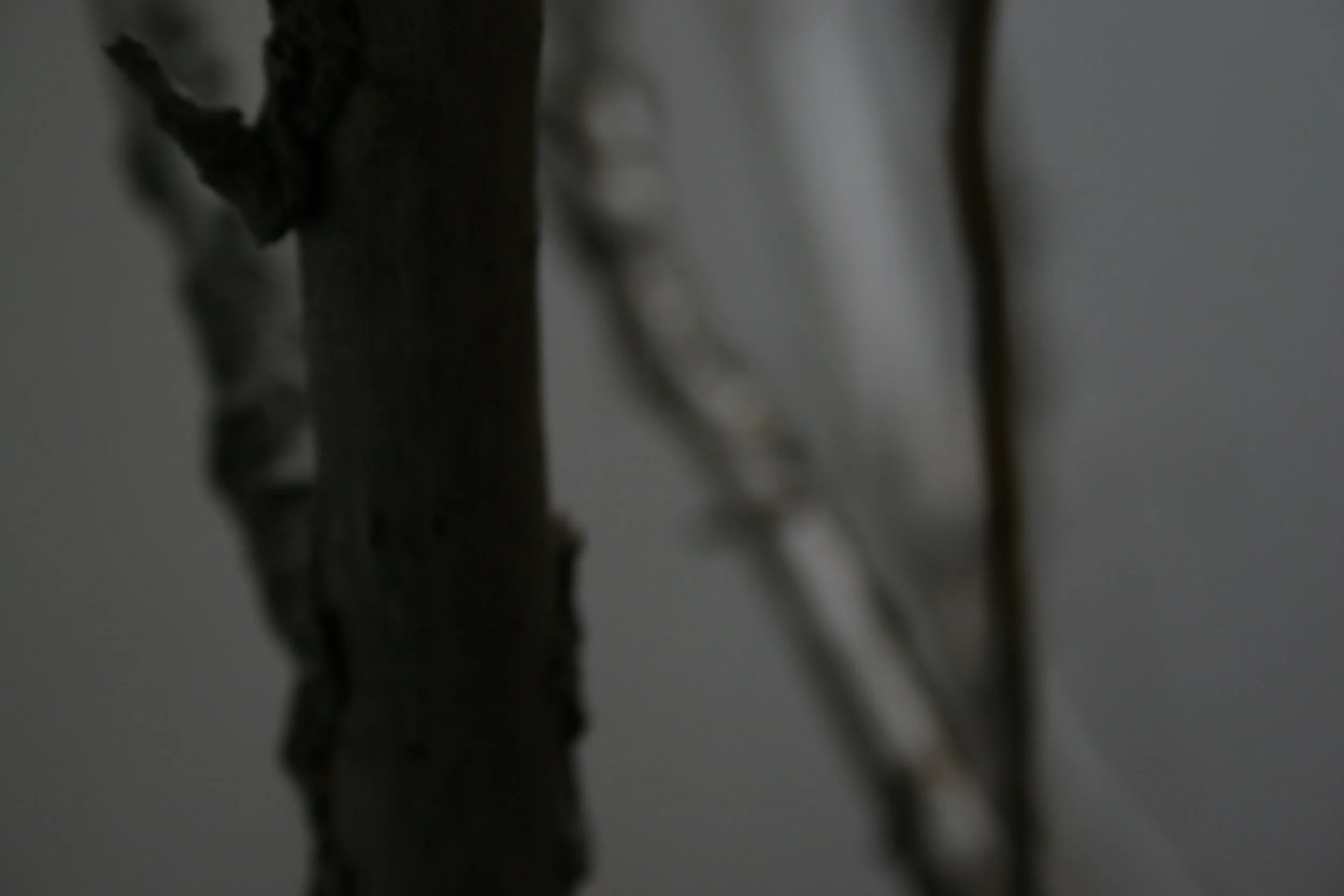 winter sticks 8,  15 X 20, giclée print on 230 gsm archival paper