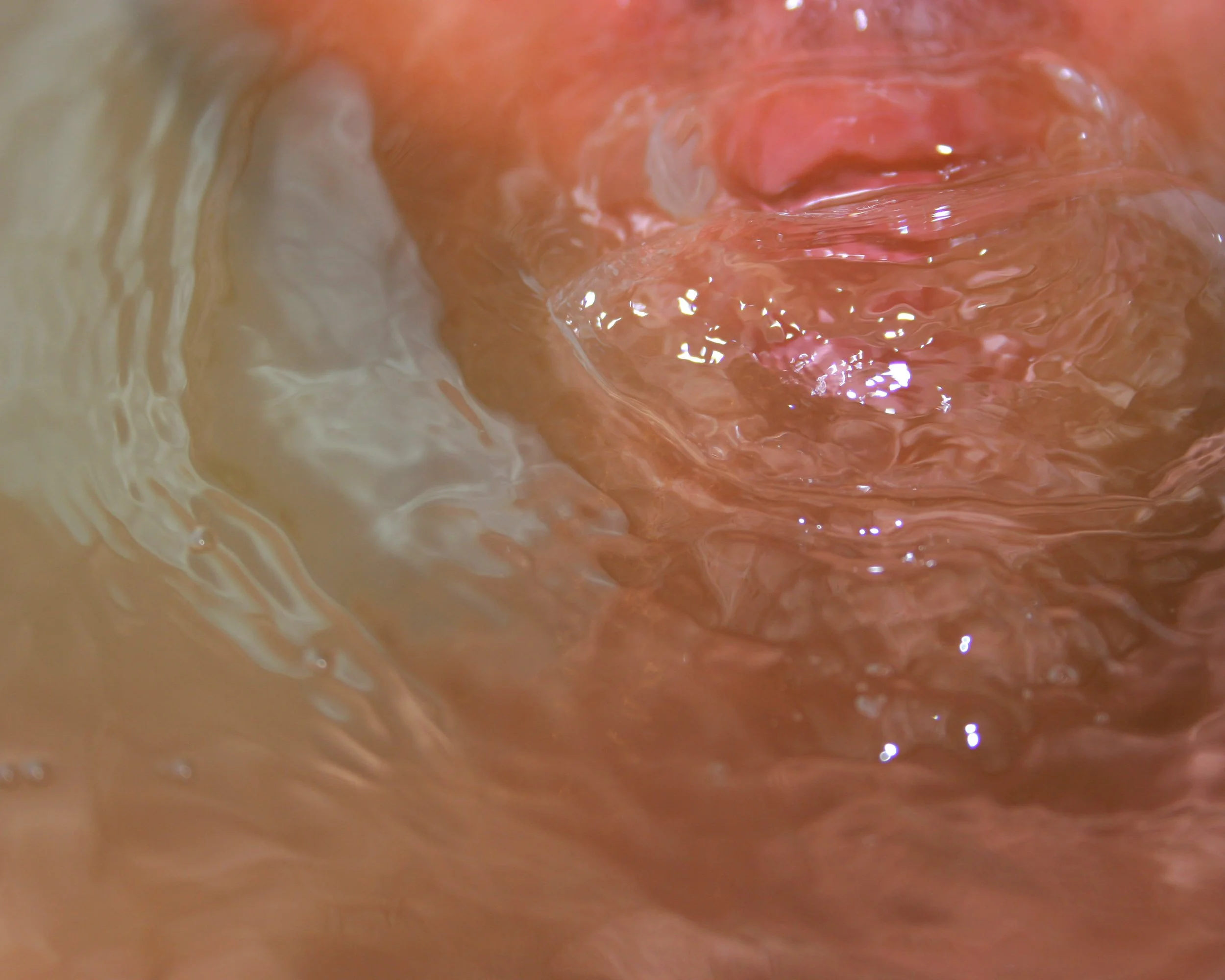 bath,  15 X 20, giclée print on 230 gsm archival paper